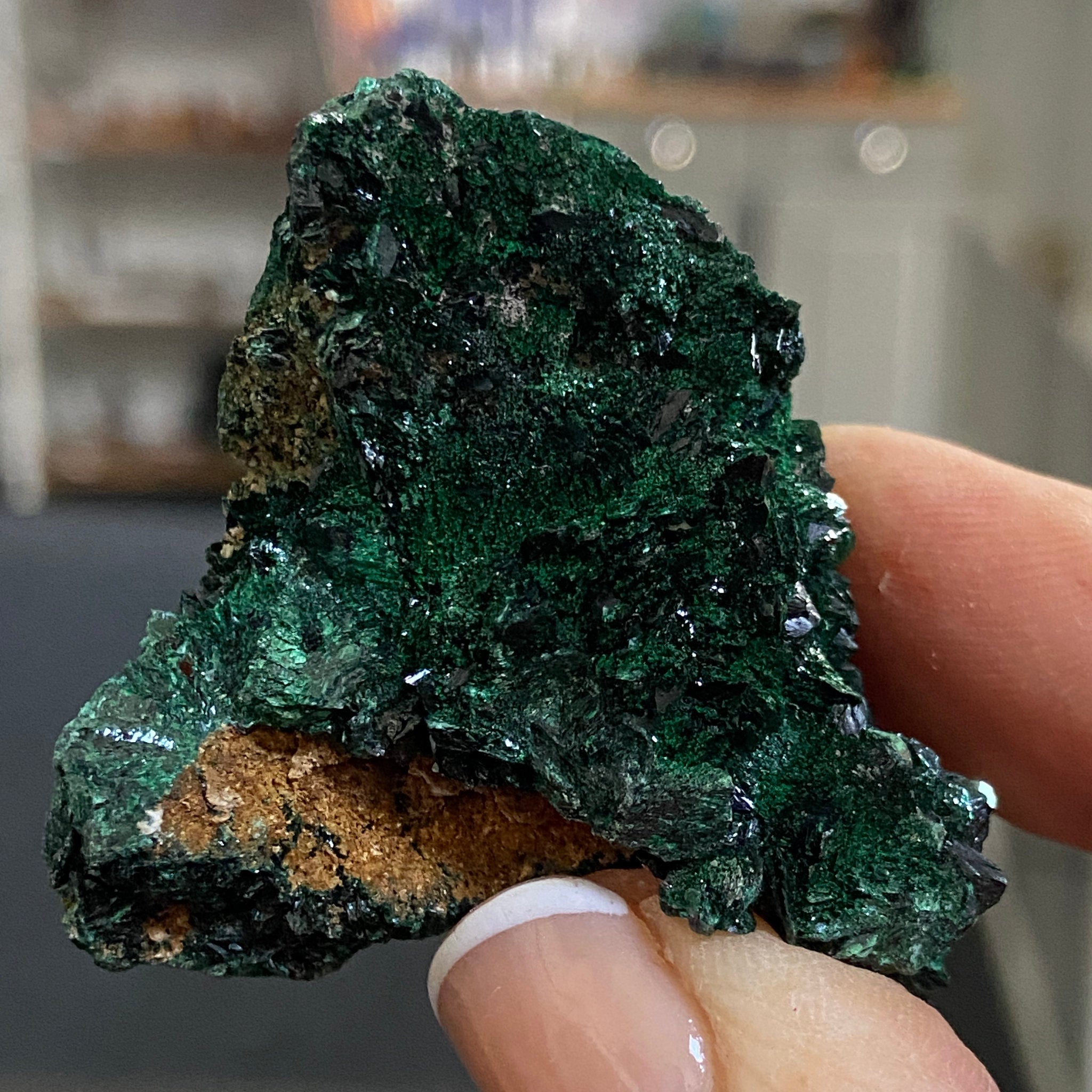Velvet Malachite – Morocco