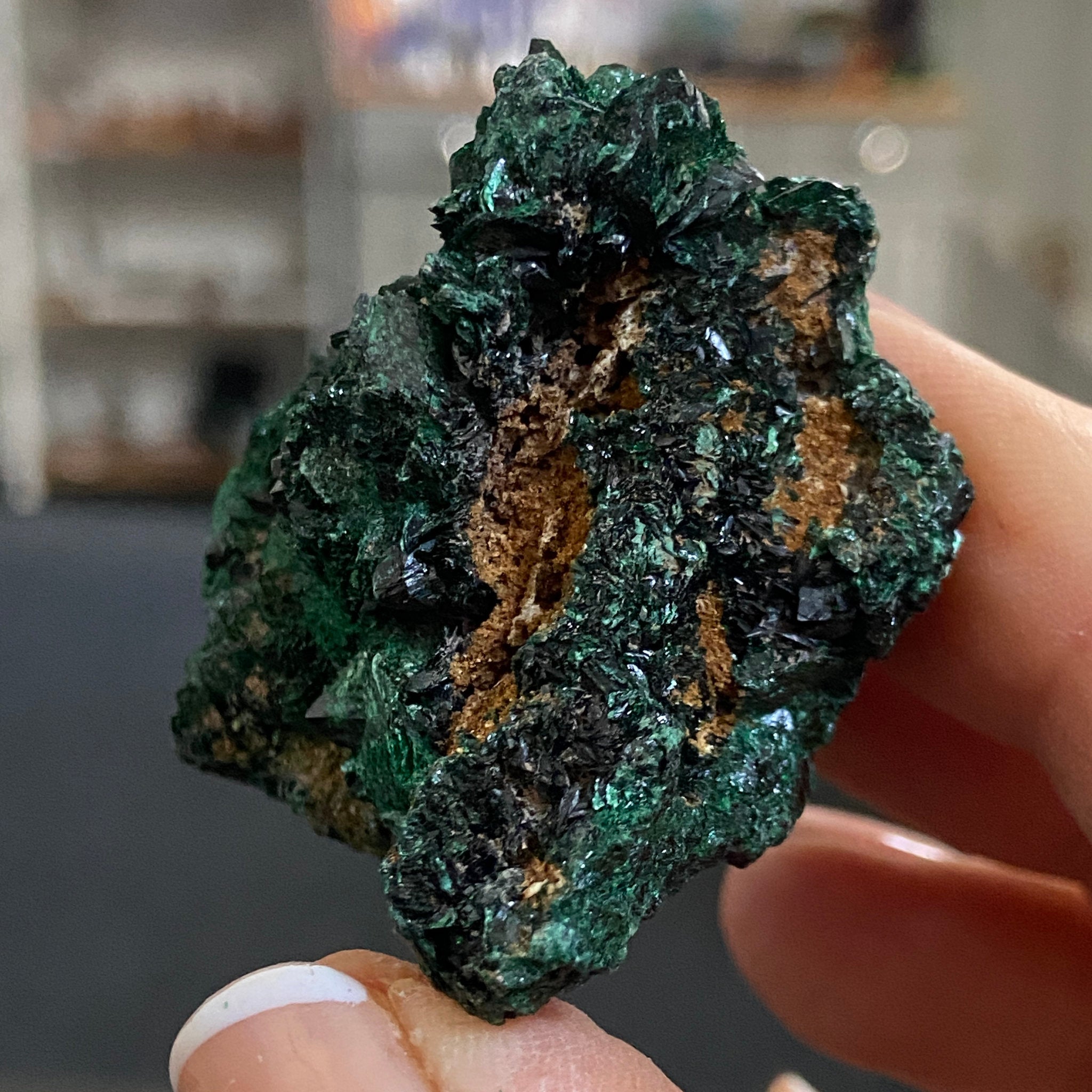 Velvet Malachite – Morocco