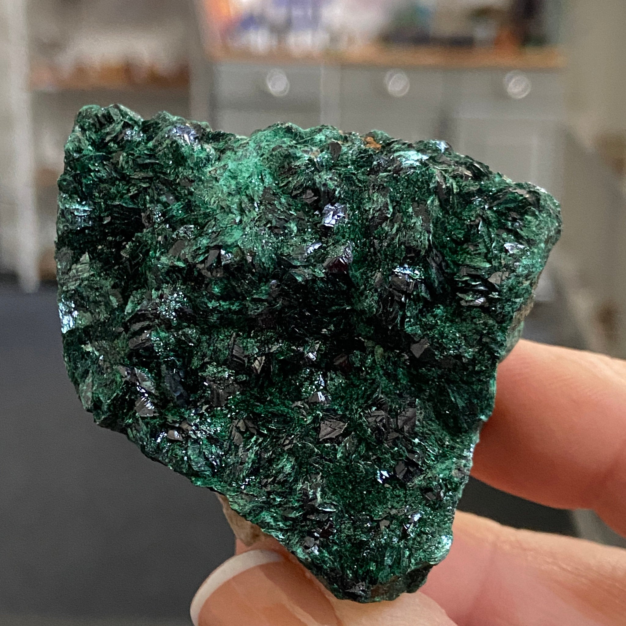 Velvet Malachite – Morocco