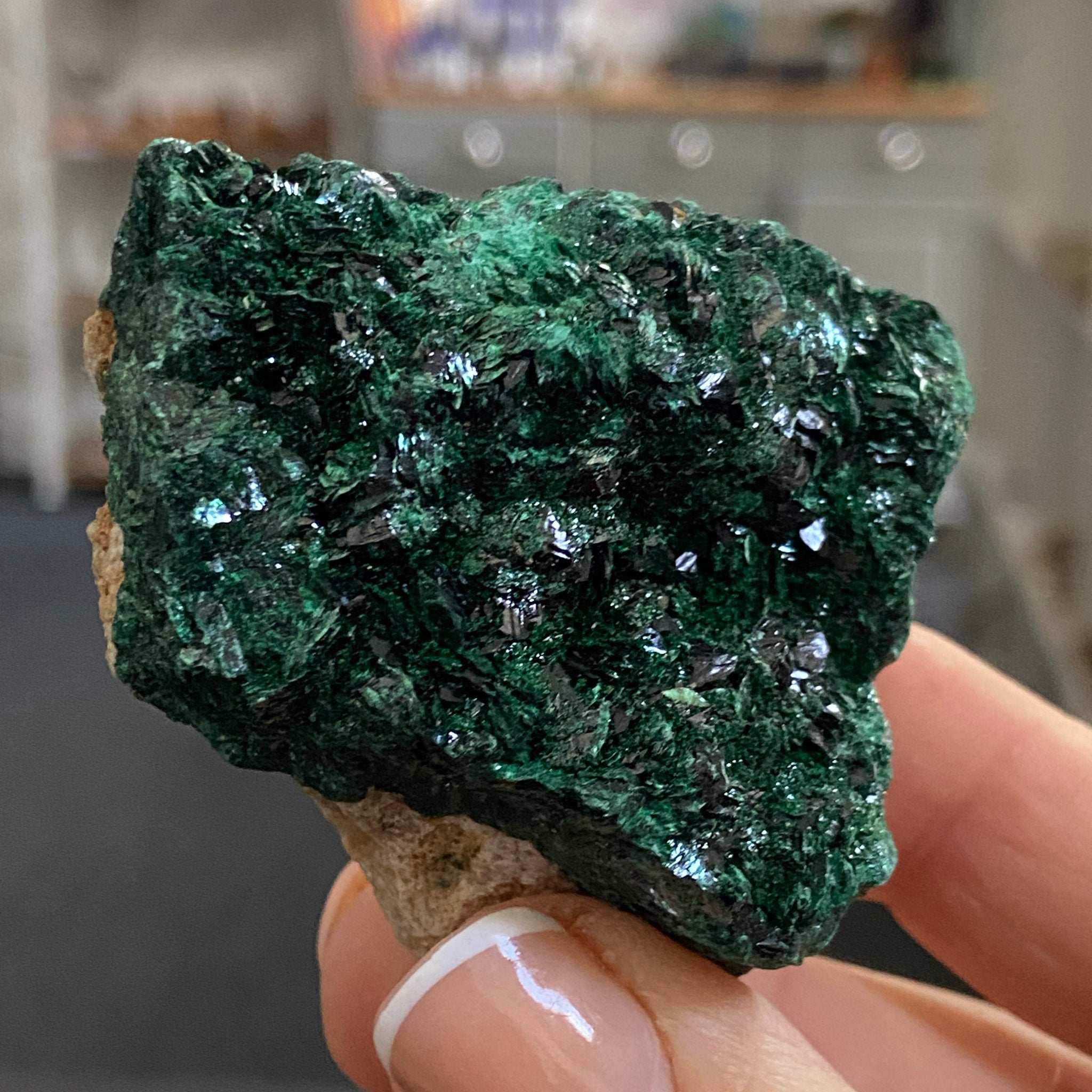 Velvet Malachite – Morocco