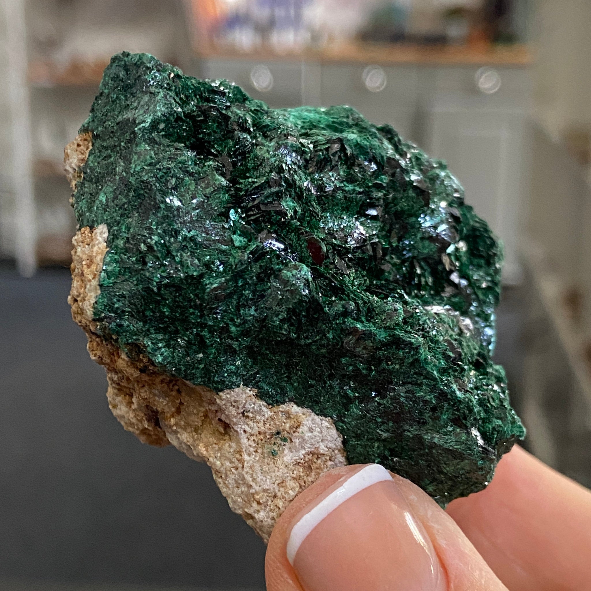 Velvet Malachite – Morocco