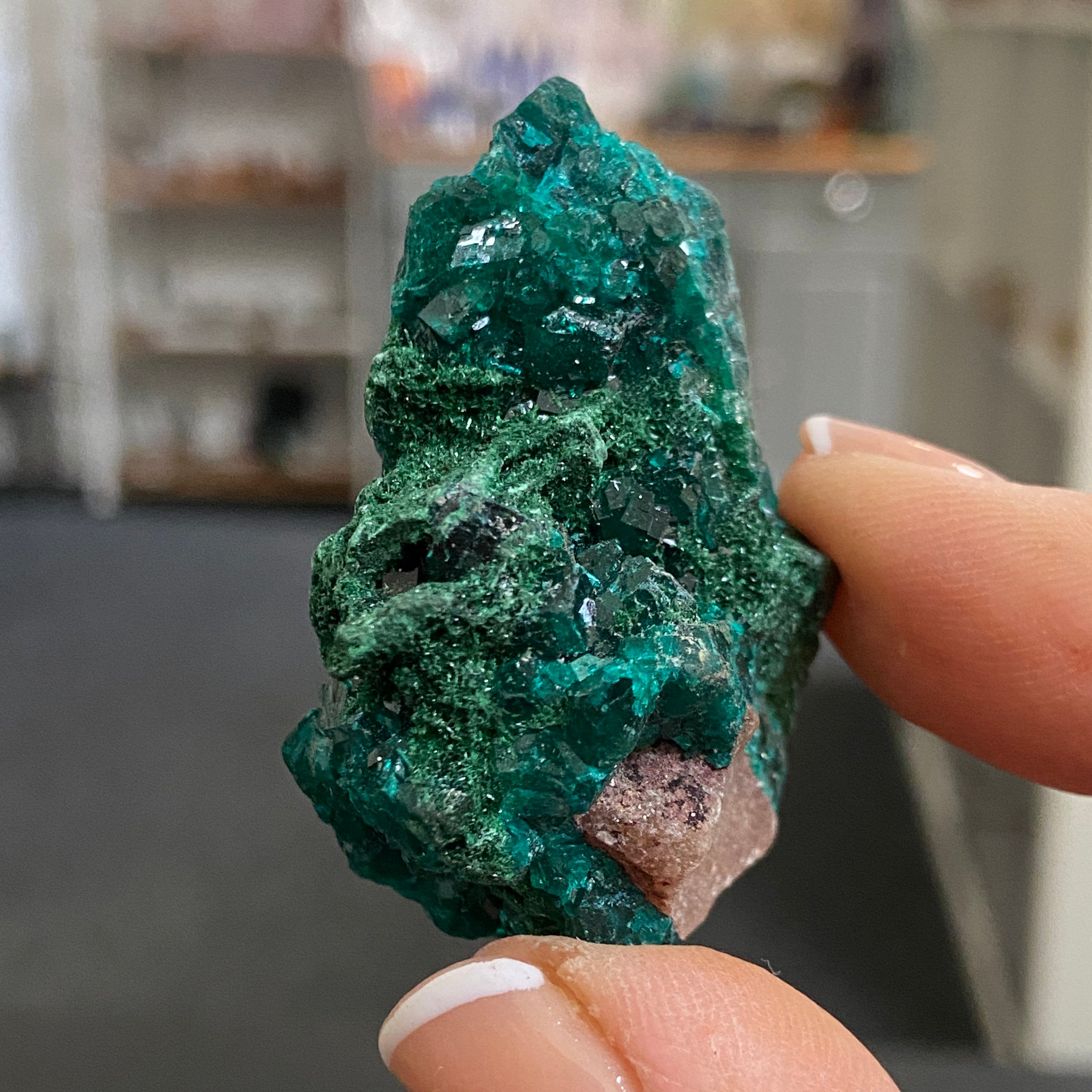 Dioptase – Morocco