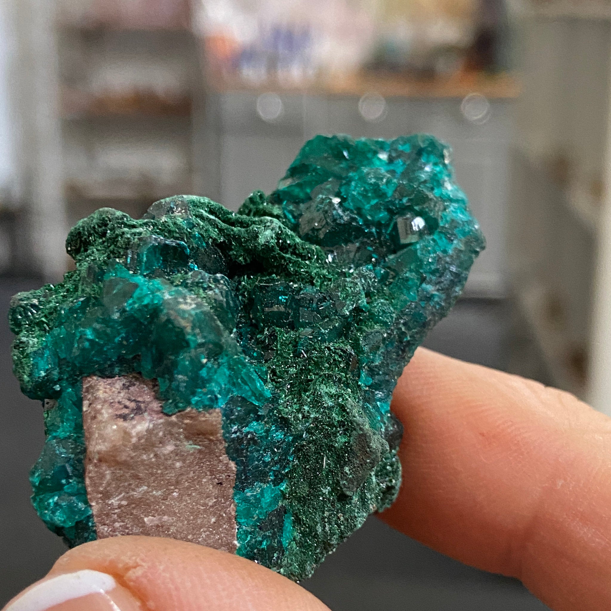Dioptase – Morocco