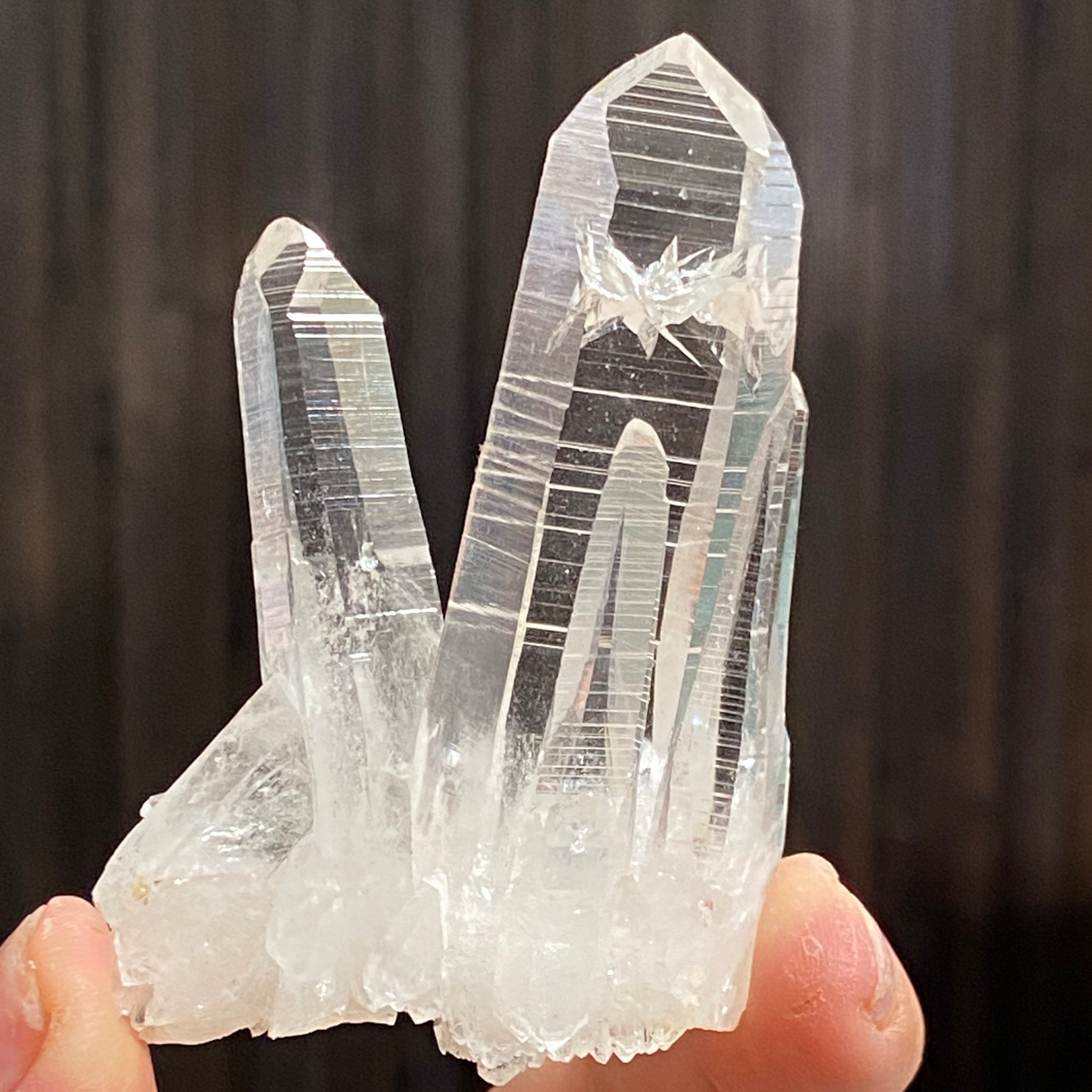 Private Collection Release - Penas Blancas Lemurian Blade of Light Cluster