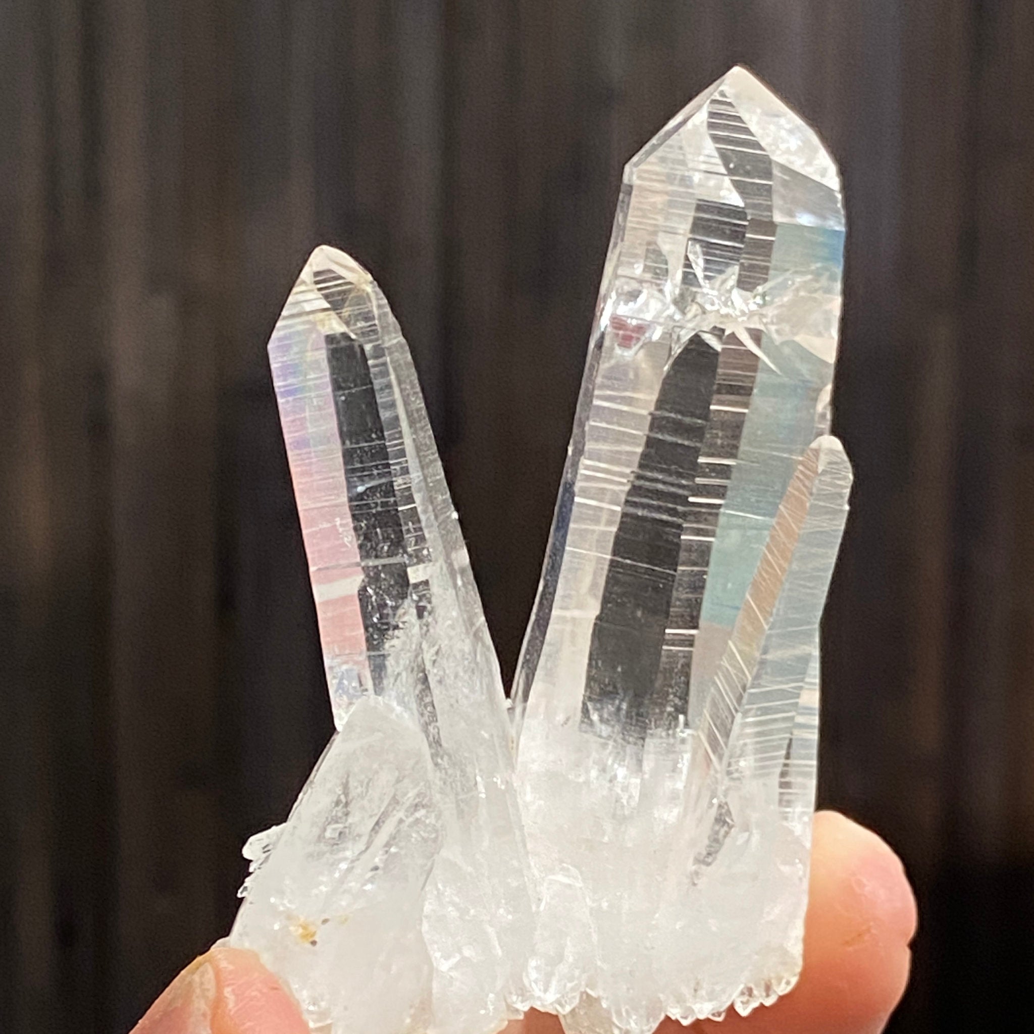 Private Collection Release - Penas Blancas Lemurian Blade of Light Cluster