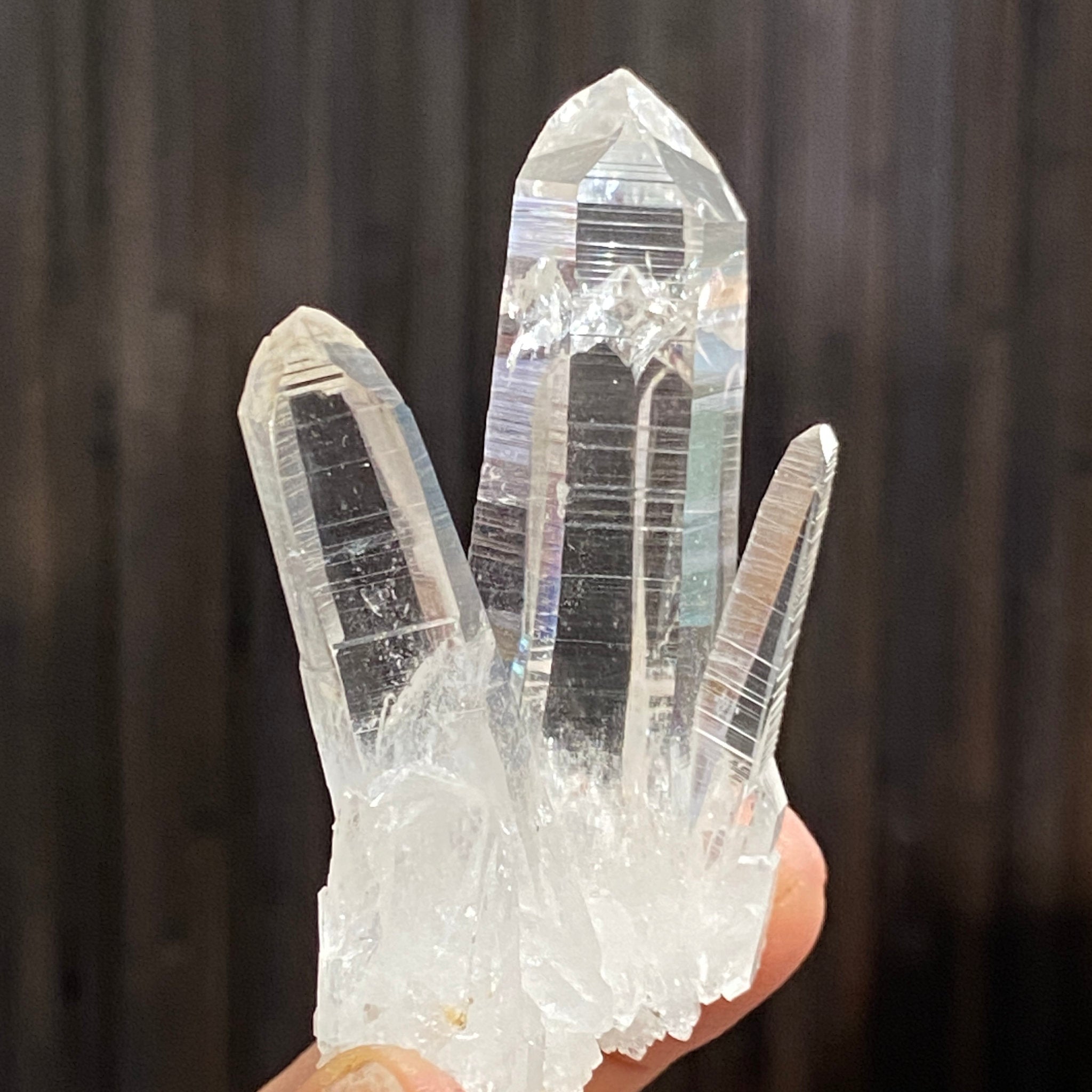 Private Collection Release - Penas Blancas Lemurian Blade of Light Cluster