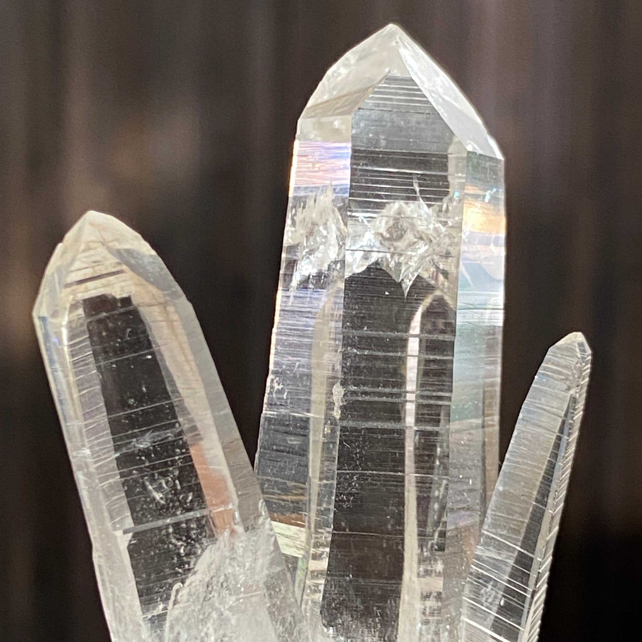 Private Collection Release - Penas Blancas Lemurian Blade of Light Cluster