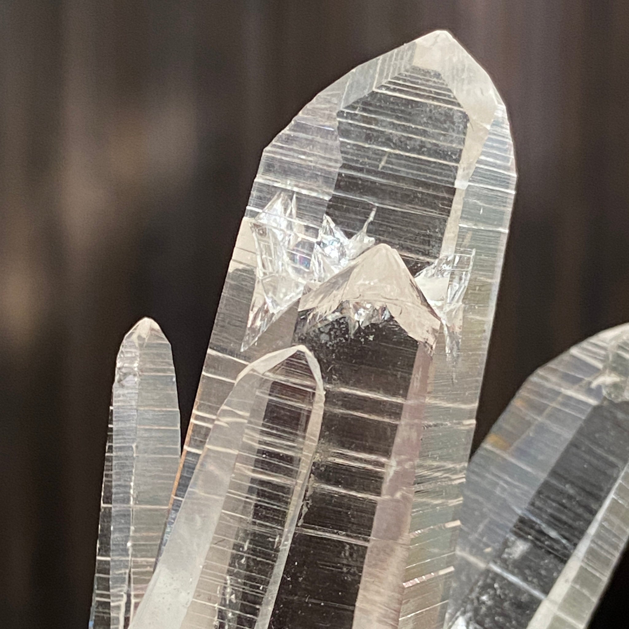 Private Collection Release - Penas Blancas Lemurian Blade of Light Cluster