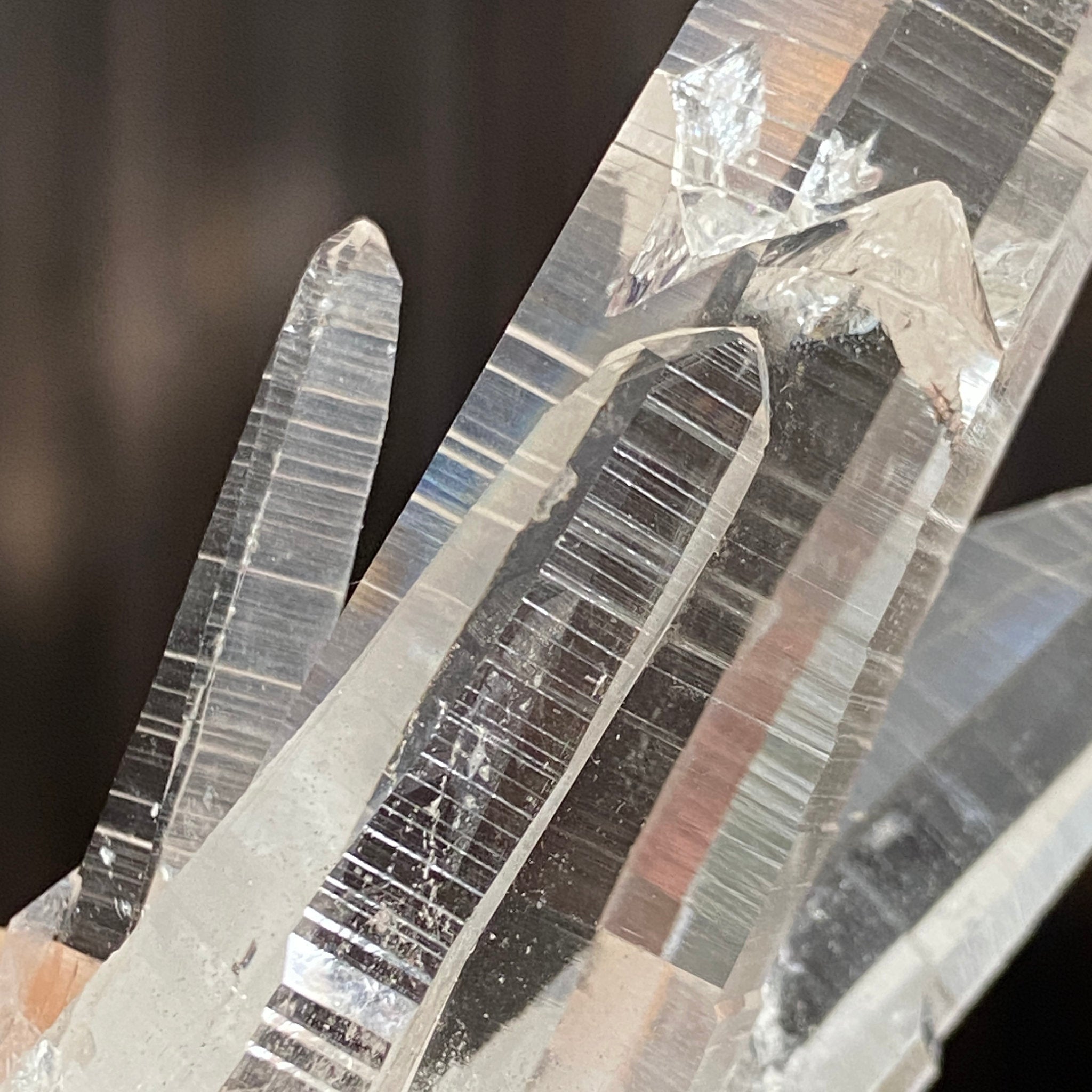 Private Collection Release - Penas Blancas Lemurian Blade of Light Cluster