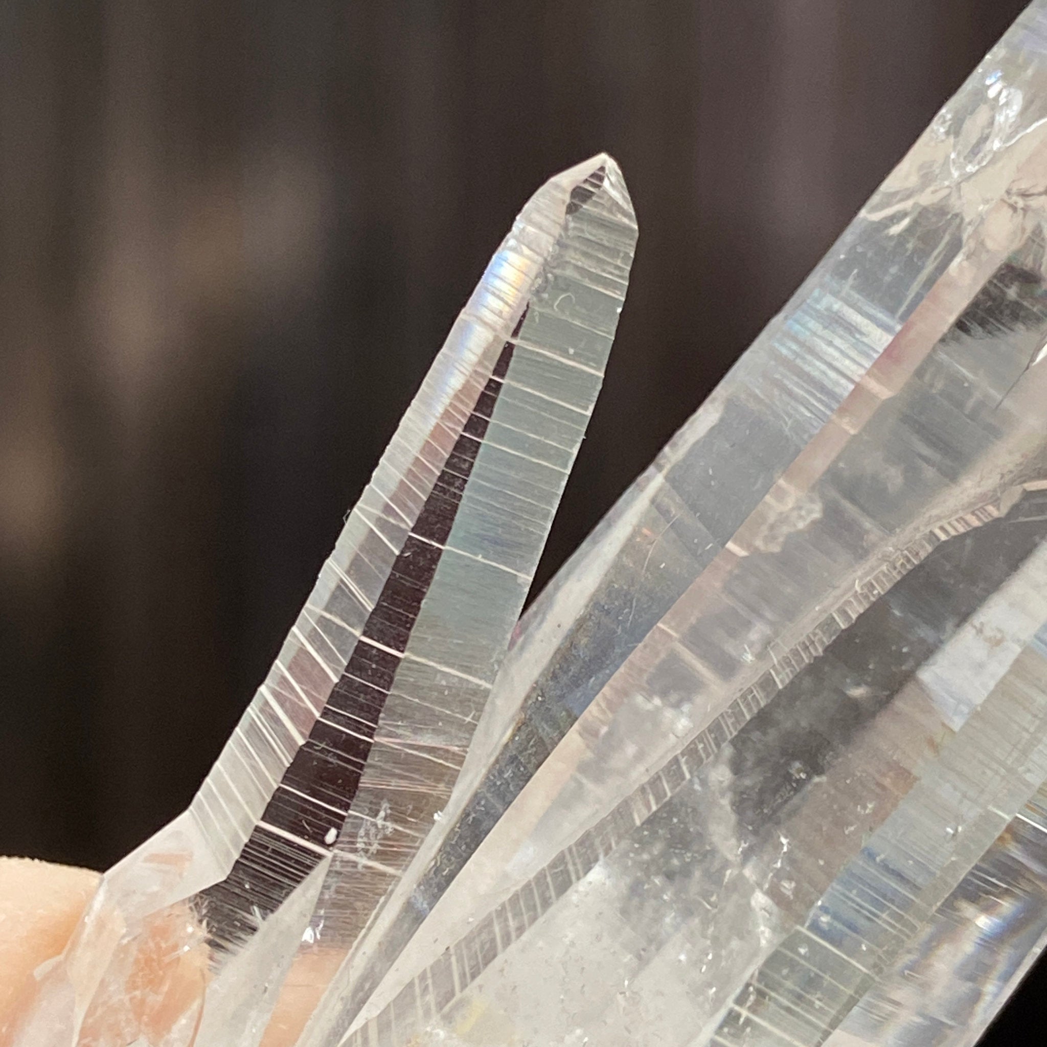 Private Collection Release - Penas Blancas Lemurian Blade of Light Cluster