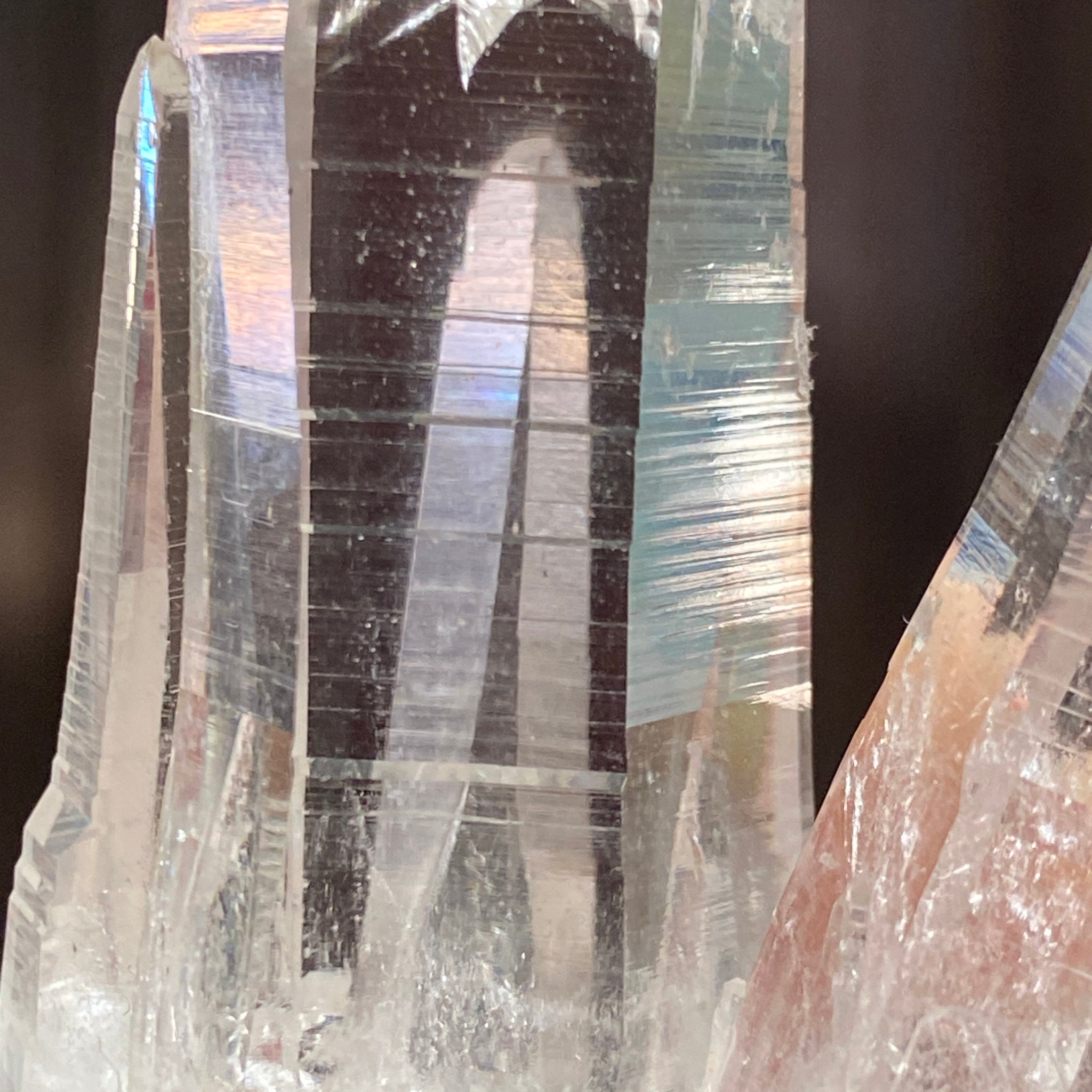 Private Collection Release - Penas Blancas Lemurian Blade of Light Cluster
