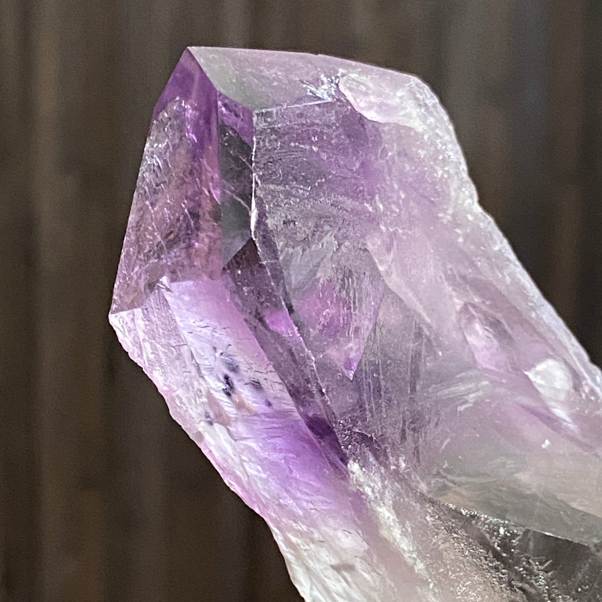 Root Amethyst – Brazil