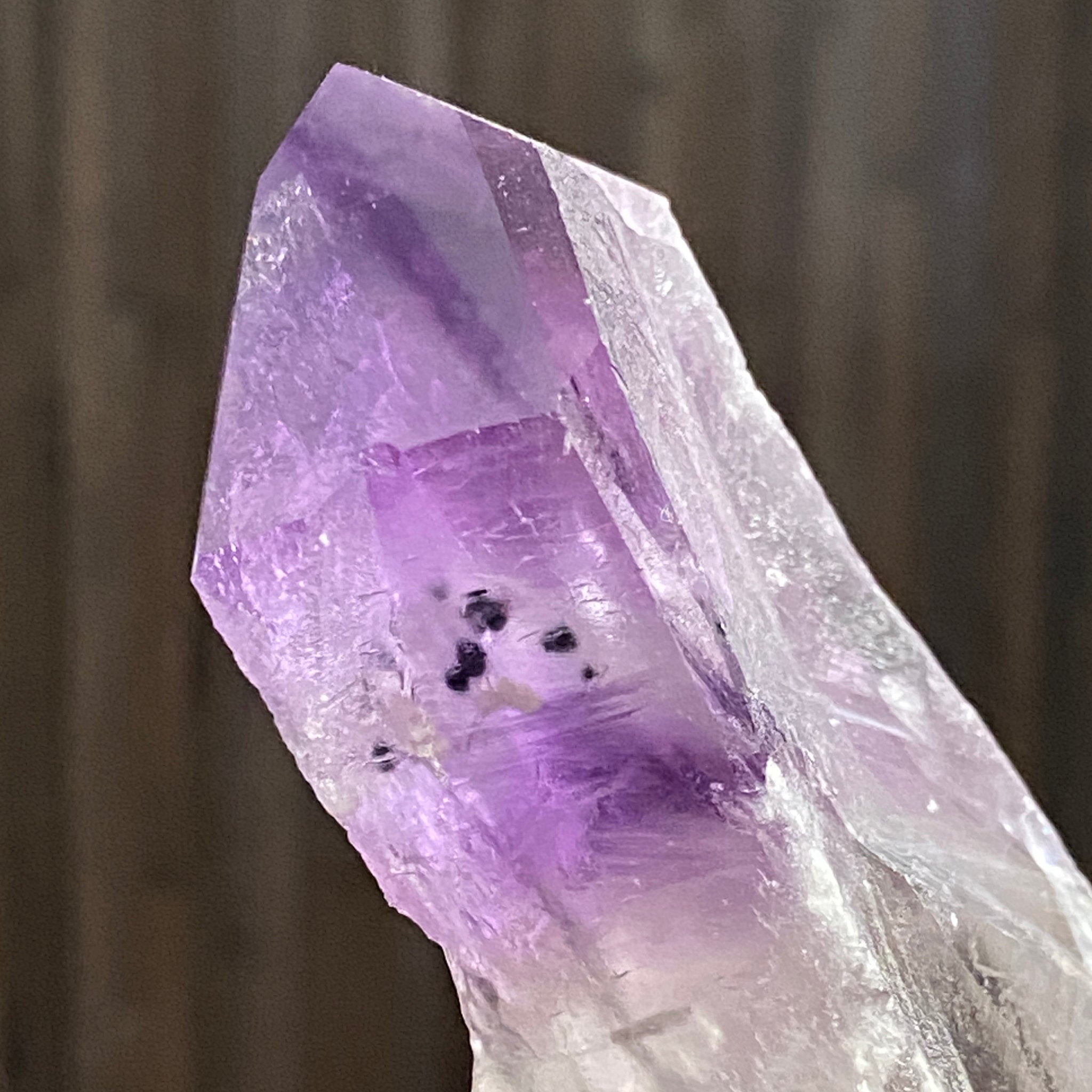 Root Amethyst – Brazil