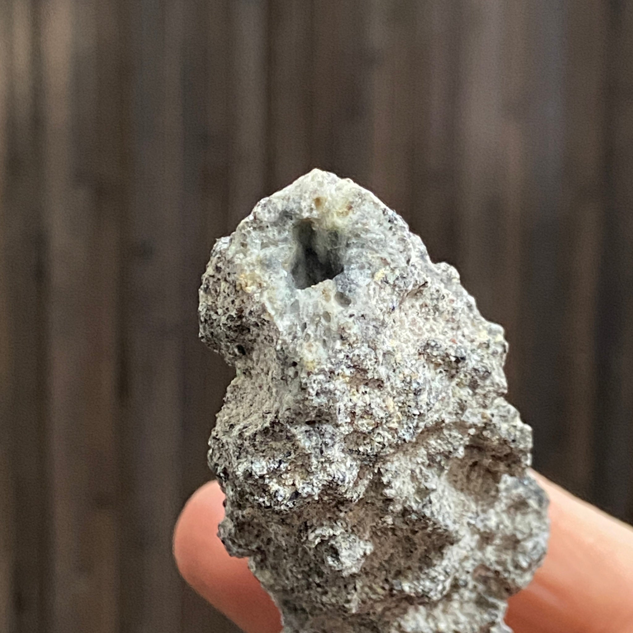 Exceptional Fulgurite