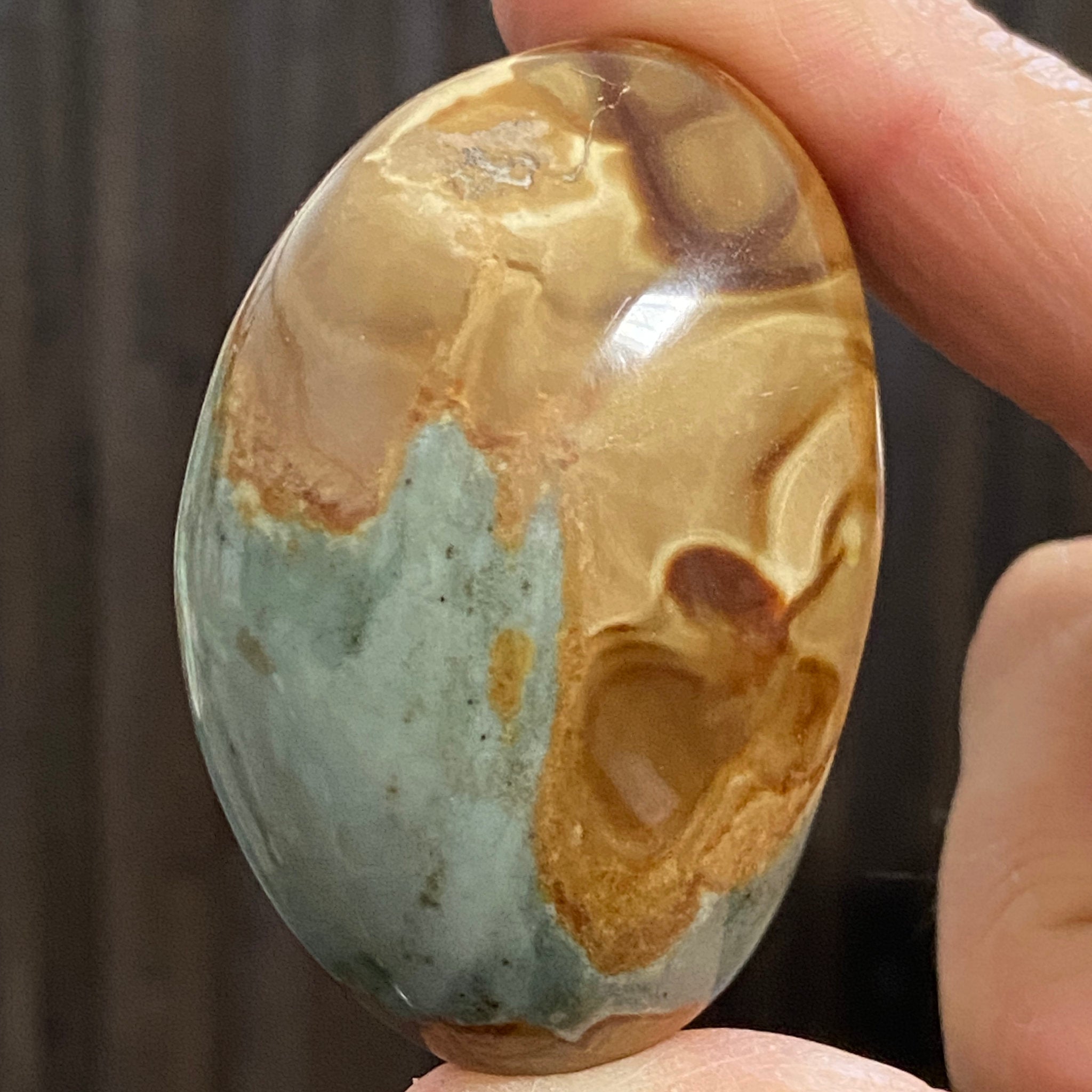 Polychrome Jasper Palmstone