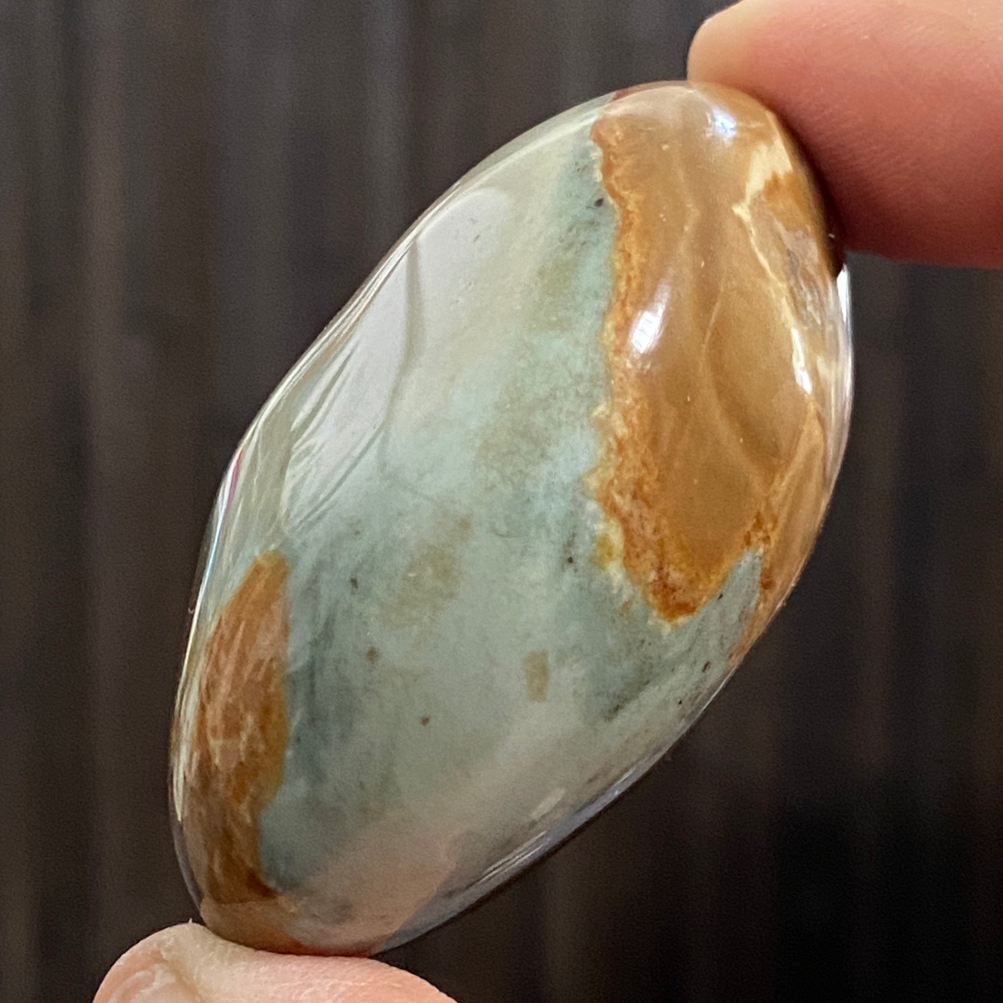 Polychrome Jasper Palmstone