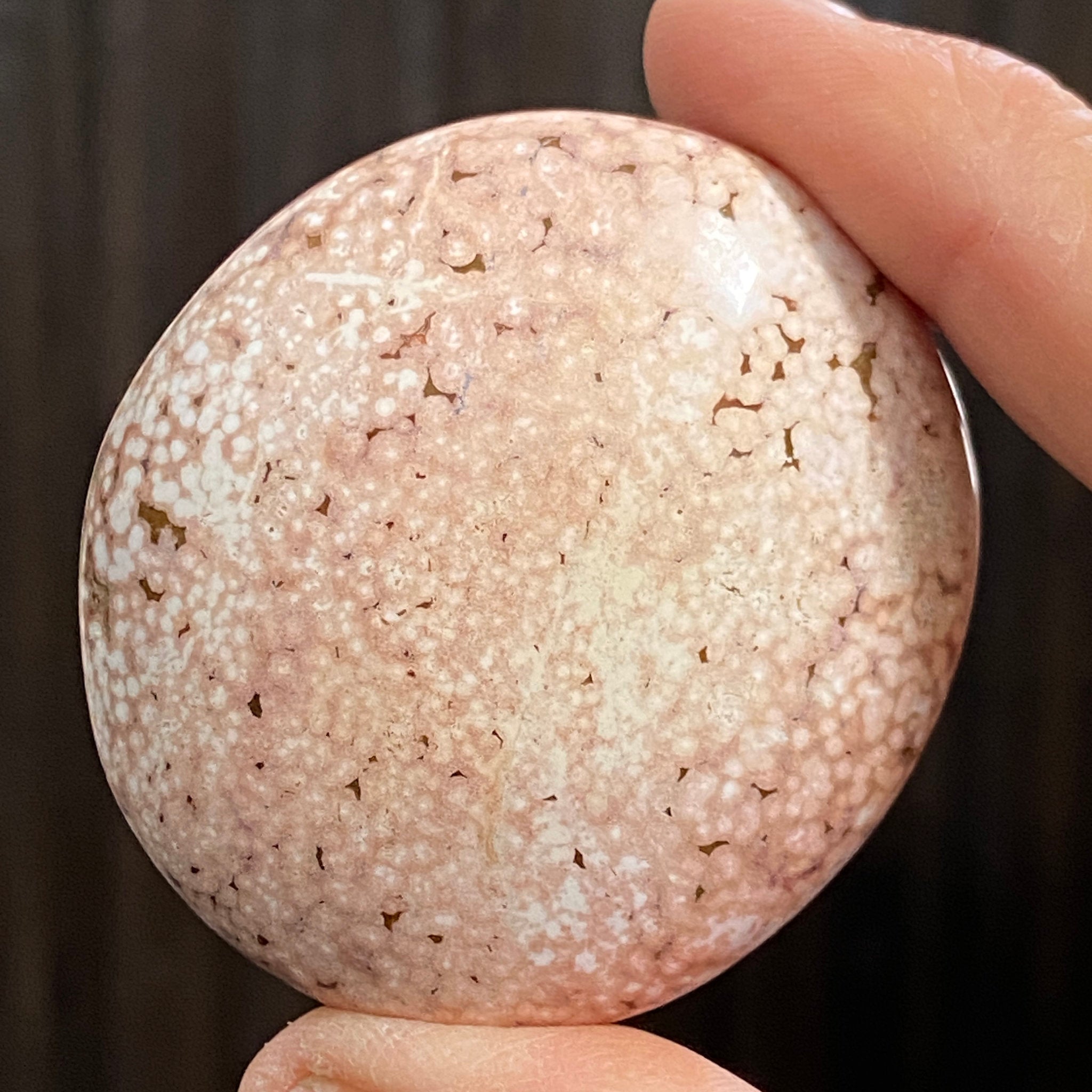 Ocean Jasper Palm Stone