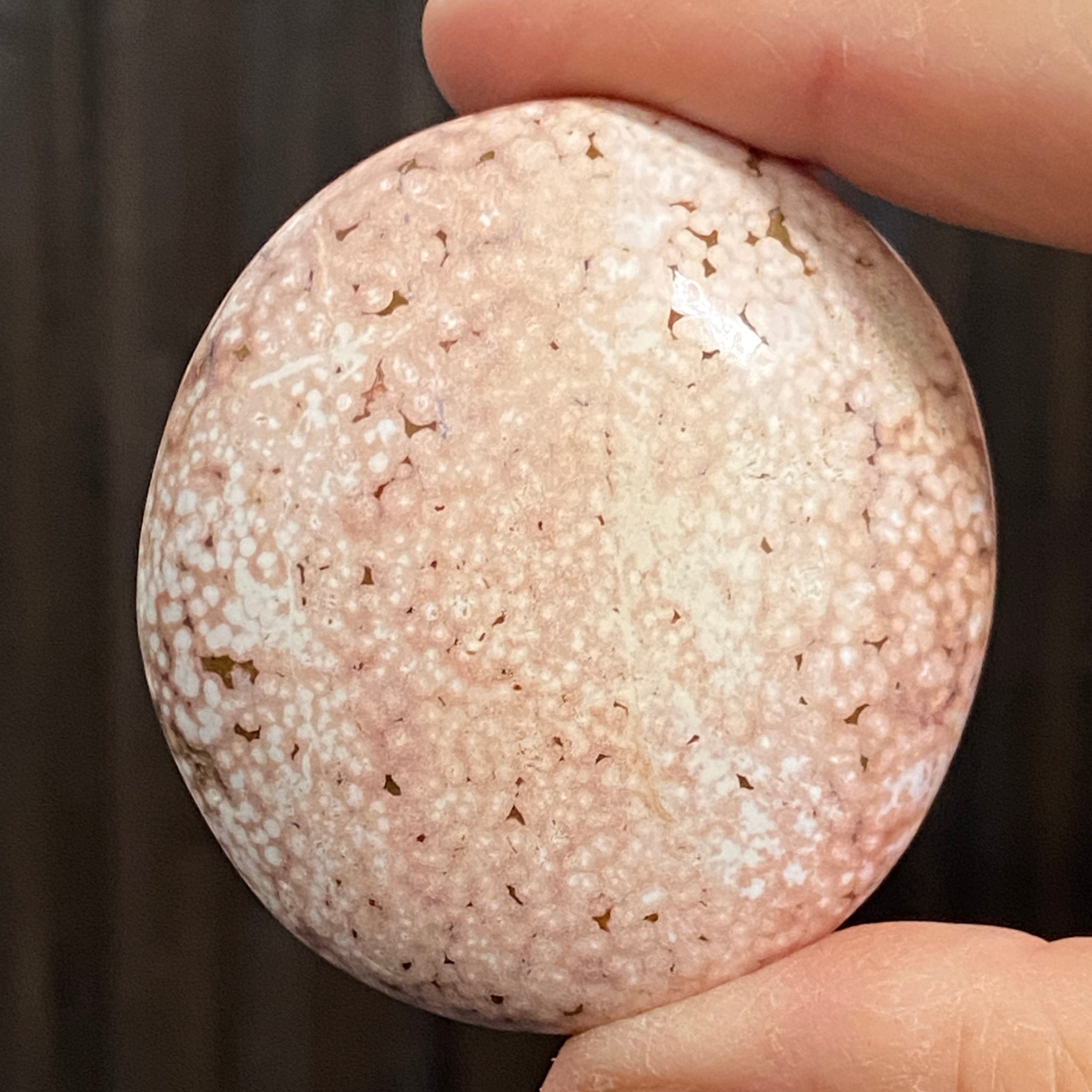 Ocean Jasper Palm Stone