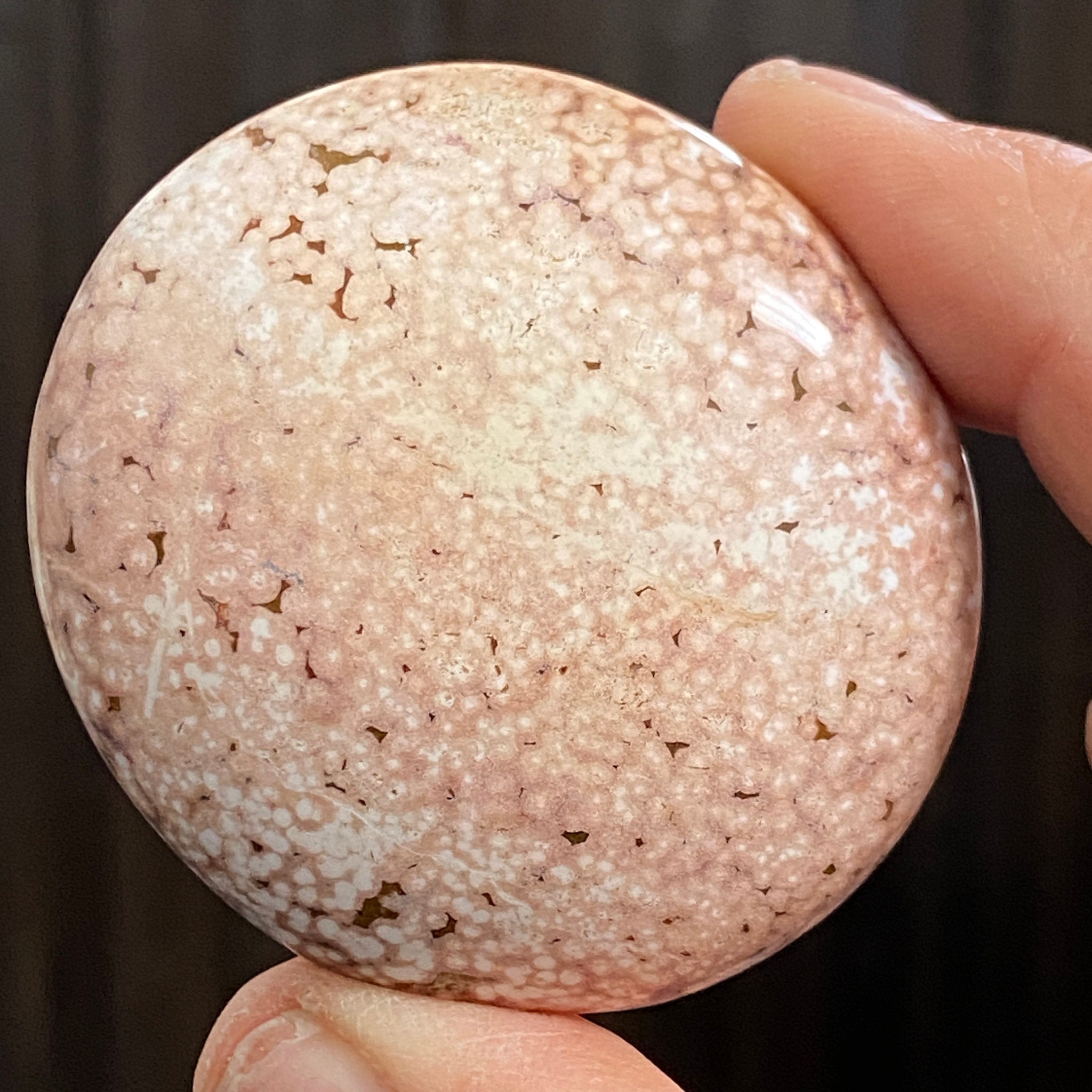 Ocean Jasper Palm Stone