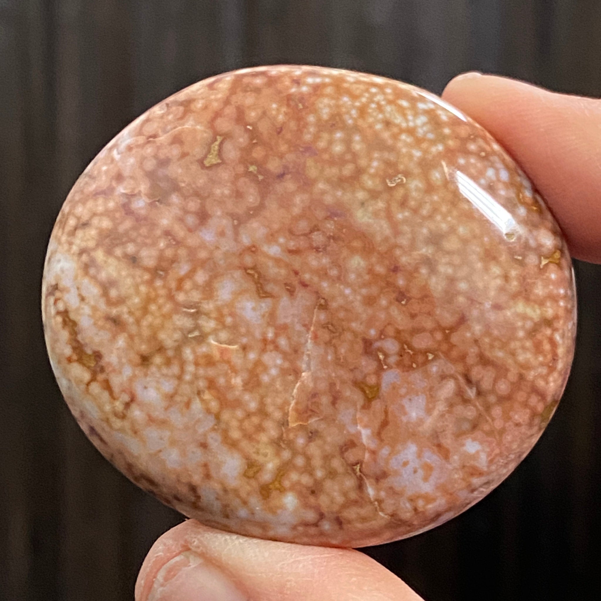 Ocean Jasper Palm Stone