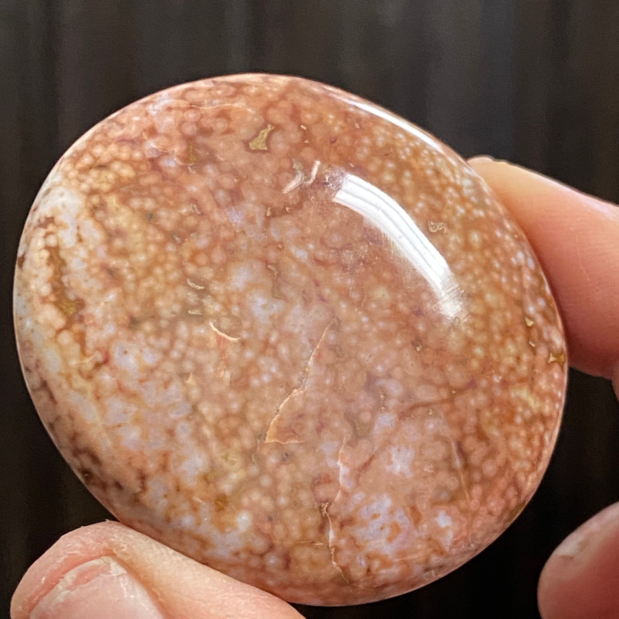 Ocean Jasper Palm Stone