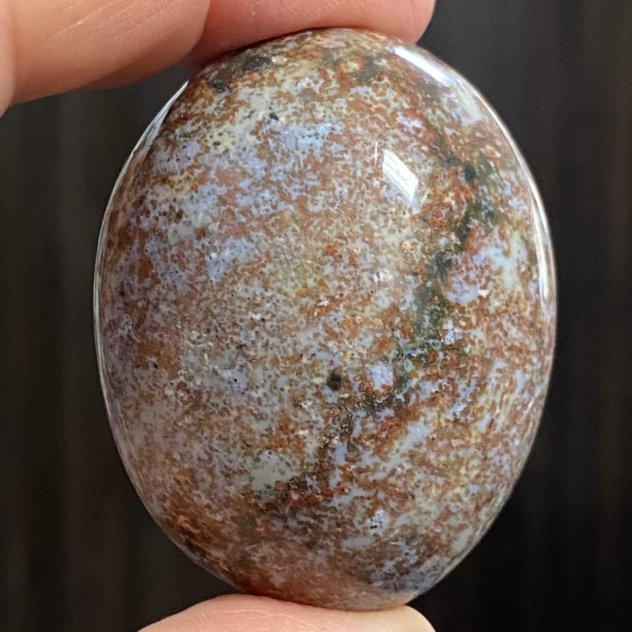 Ocean Jasper Palm Stone