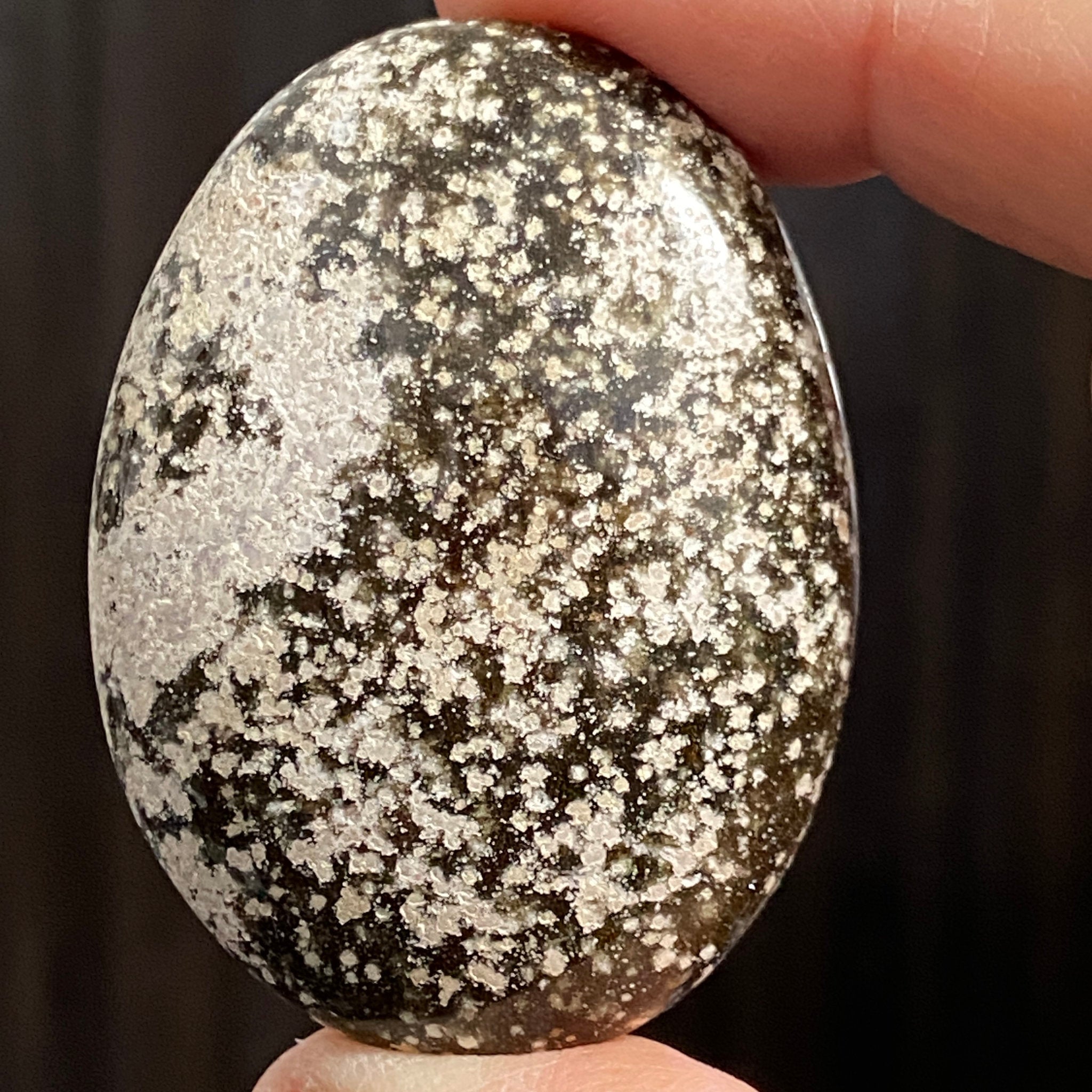 Ocean Jasper Palm Stone