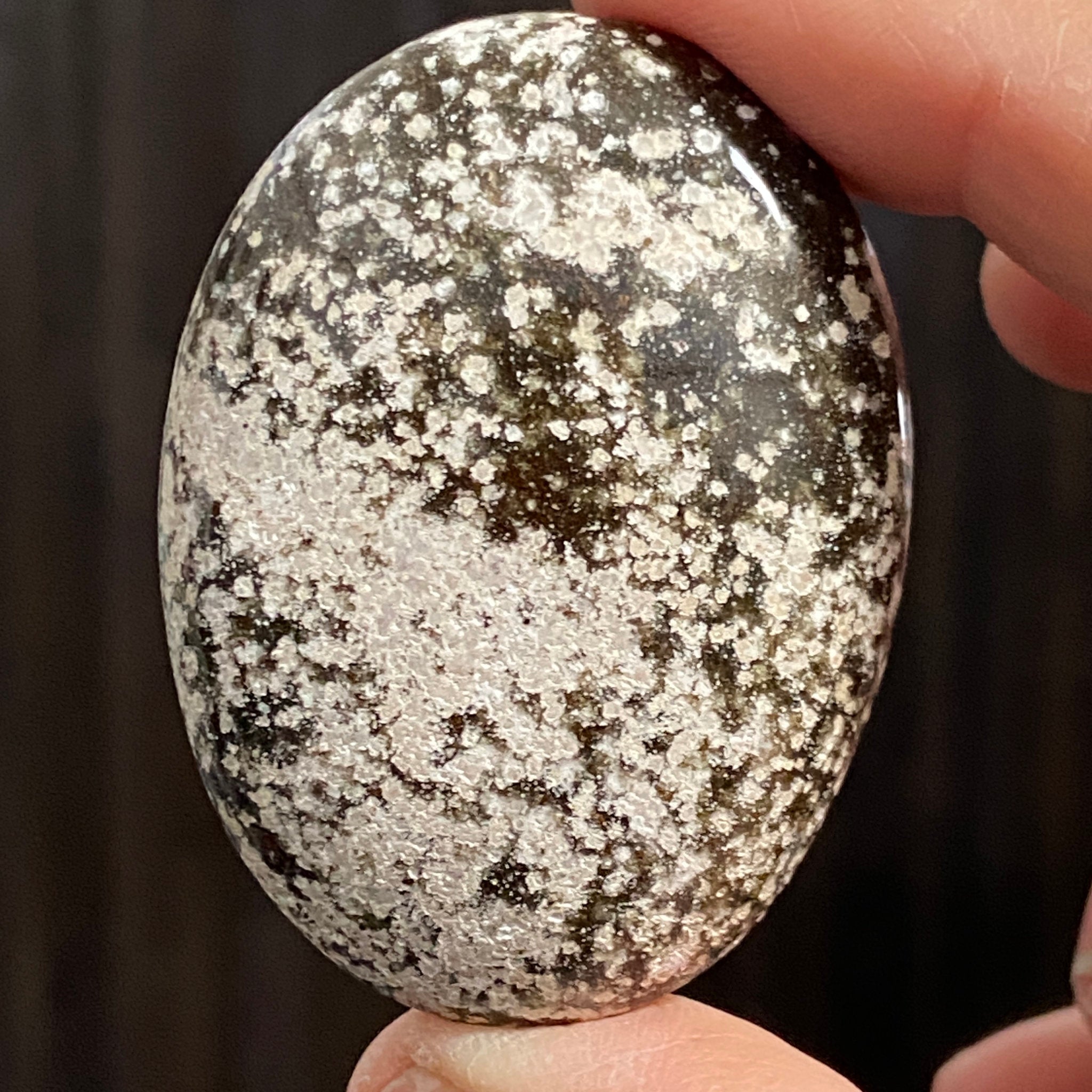 Ocean Jasper Palm Stone