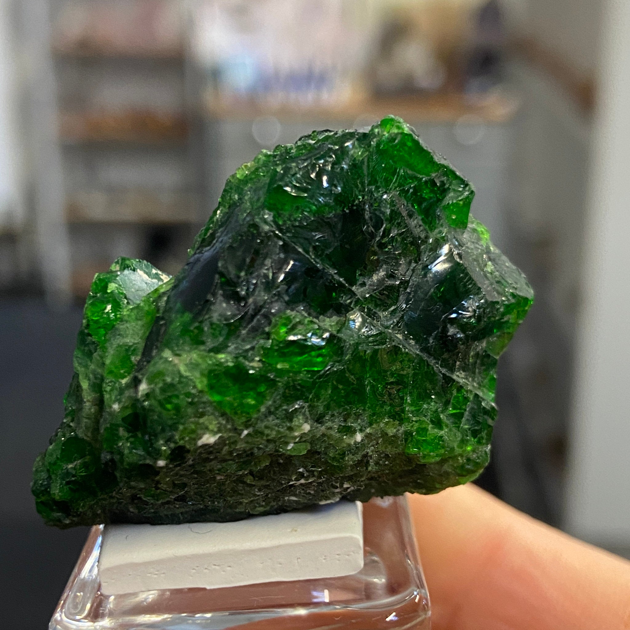 Rare Chrome Diopside Cluster – Russia