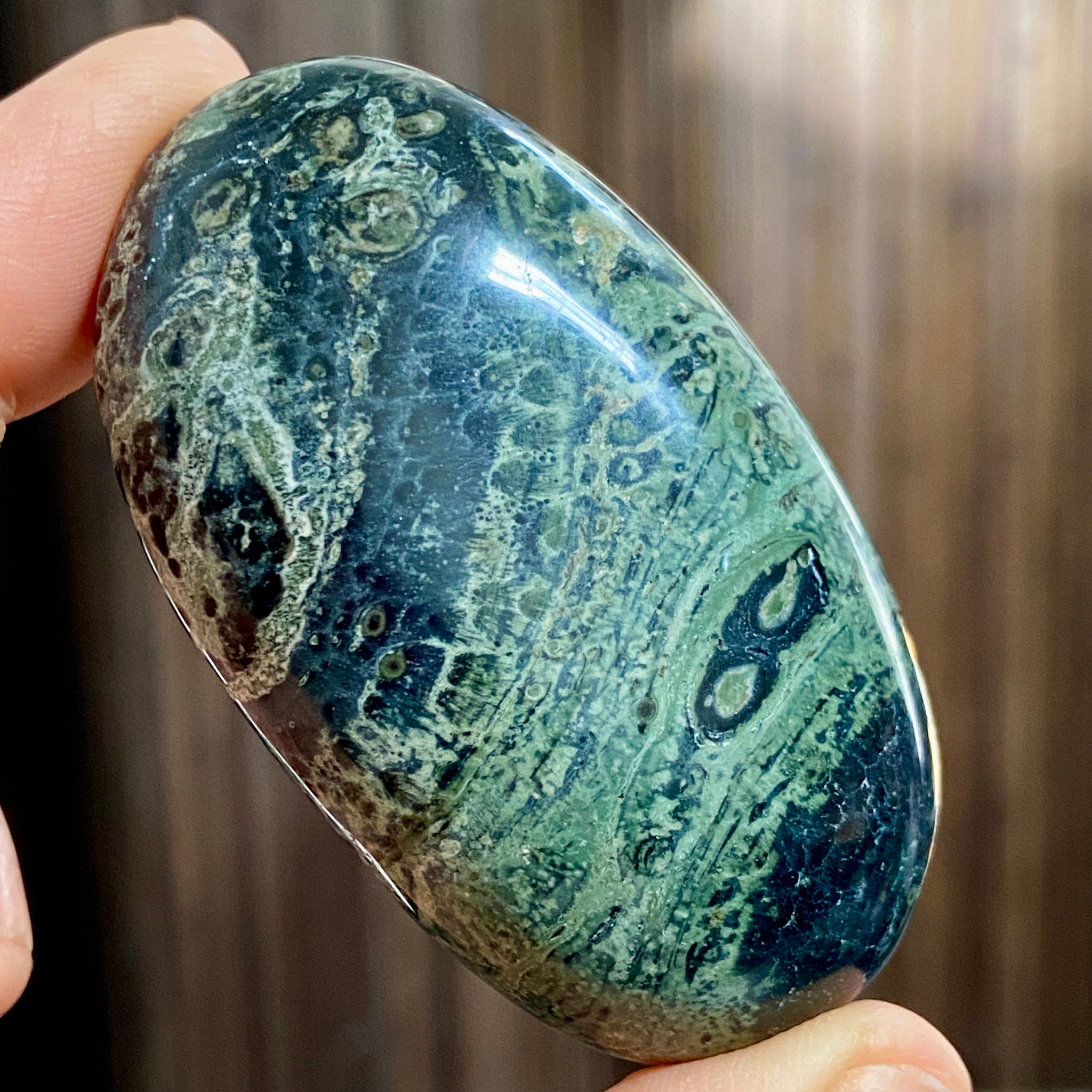Kambaba Jasper Palmstone
