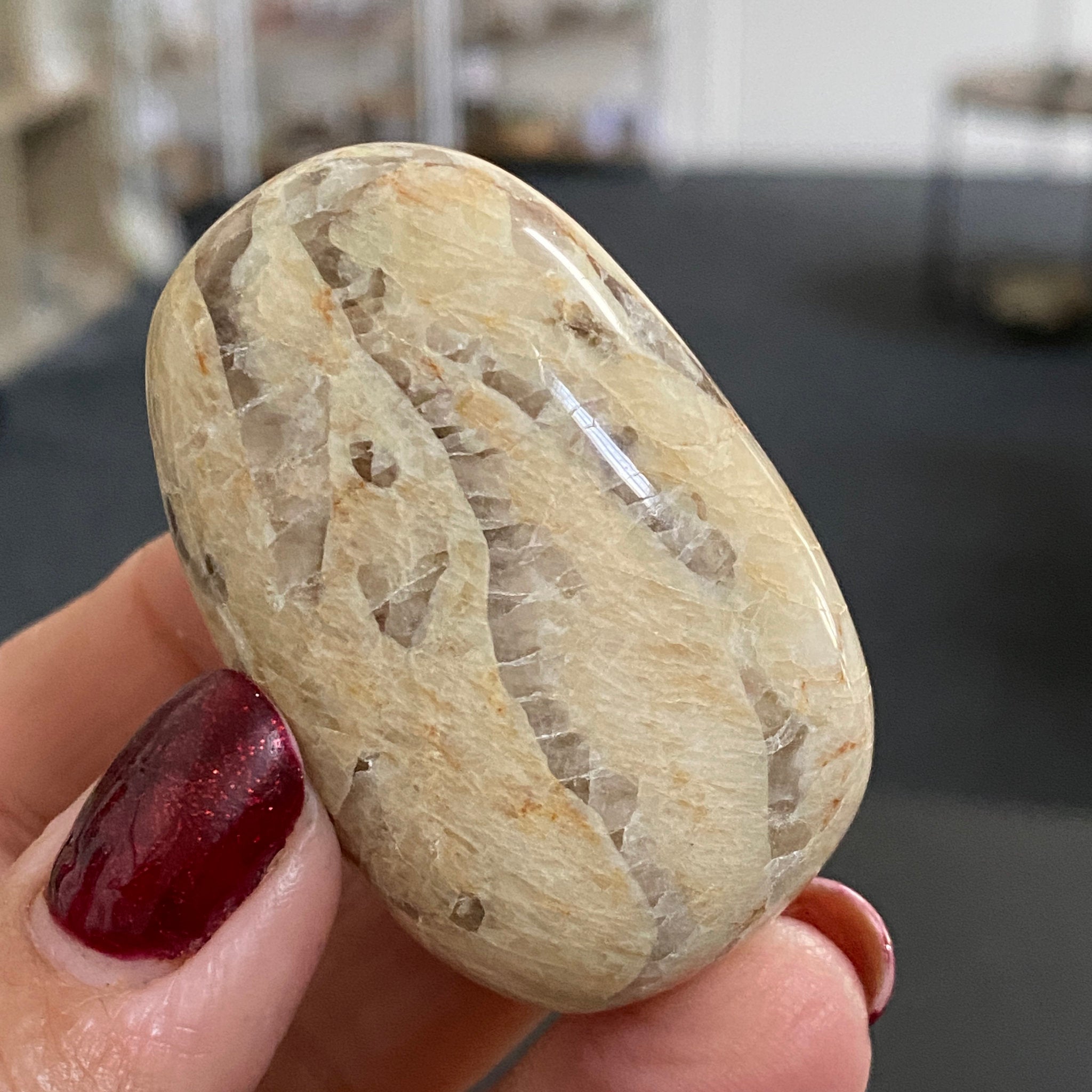 Zebradorite Palm Stone