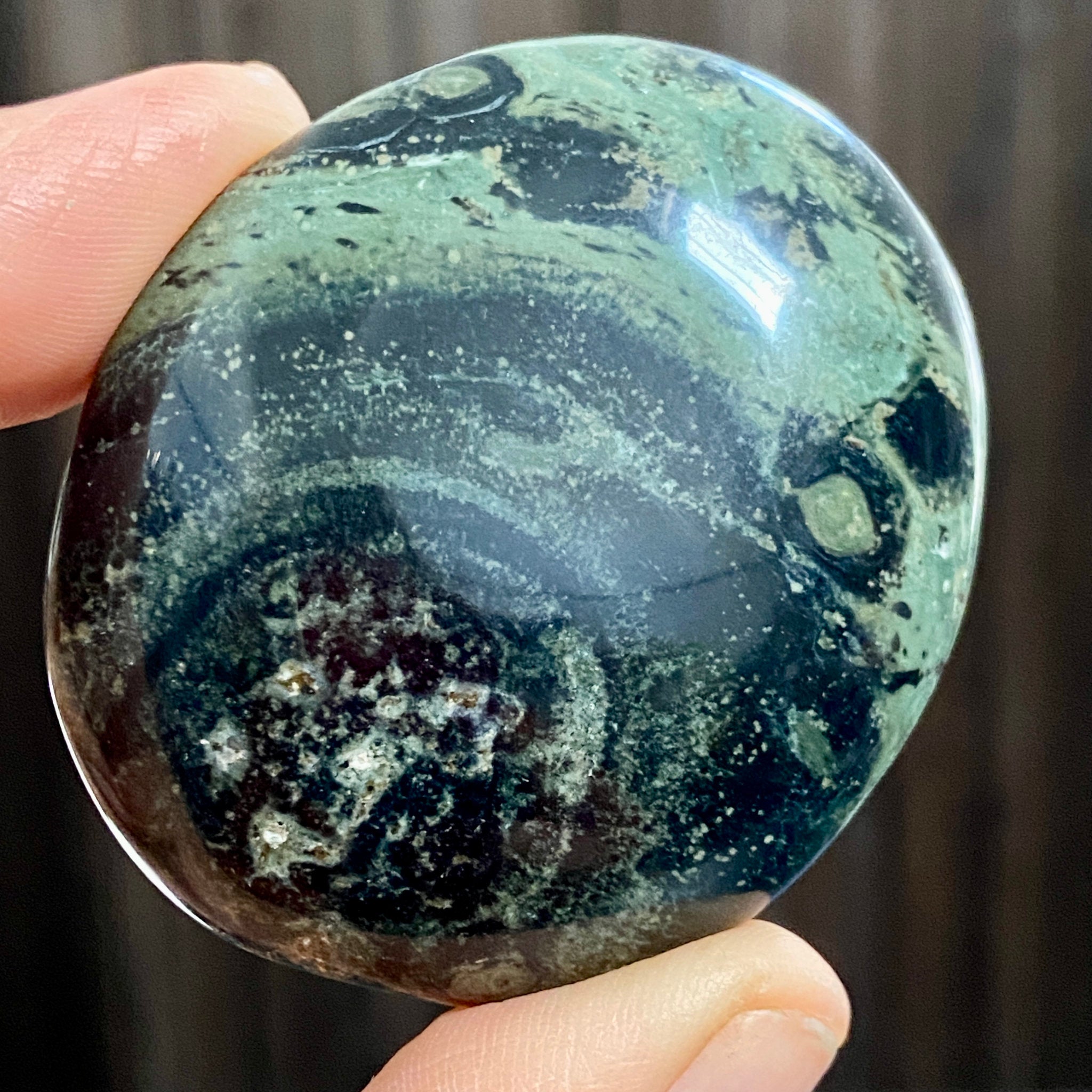Kambaba Jasper Palmstone