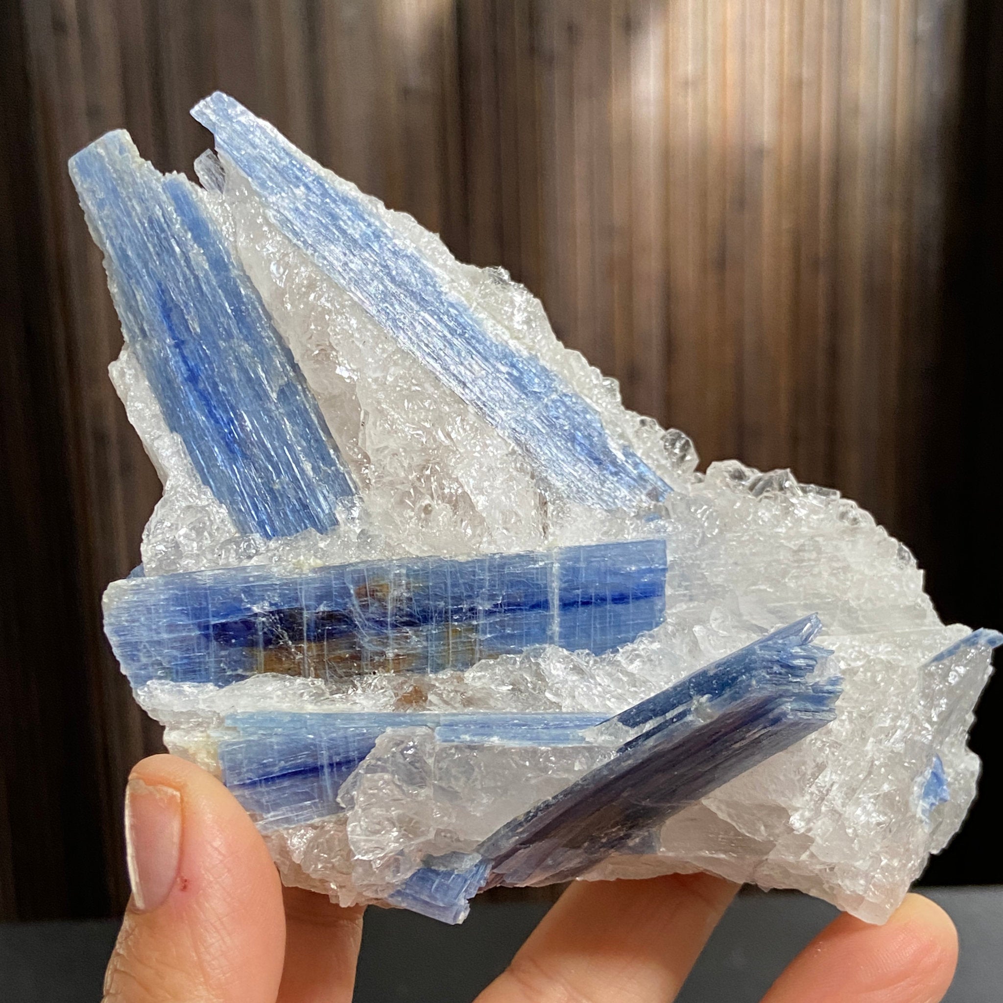 Blue Kyanite and Clear Quartz Cluster