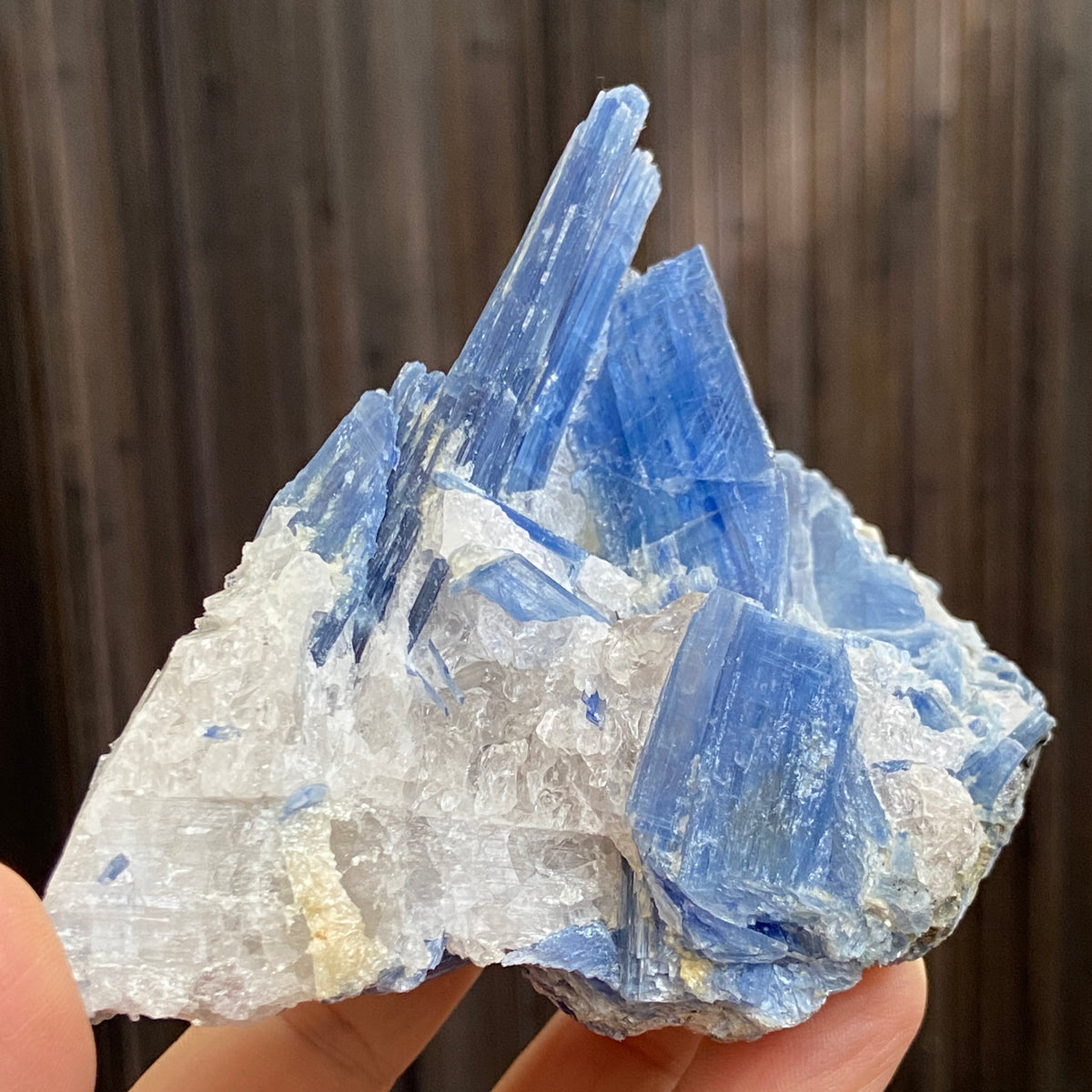 Blue Kyanite, Clear Quartz and Black Tourmaline Cluster