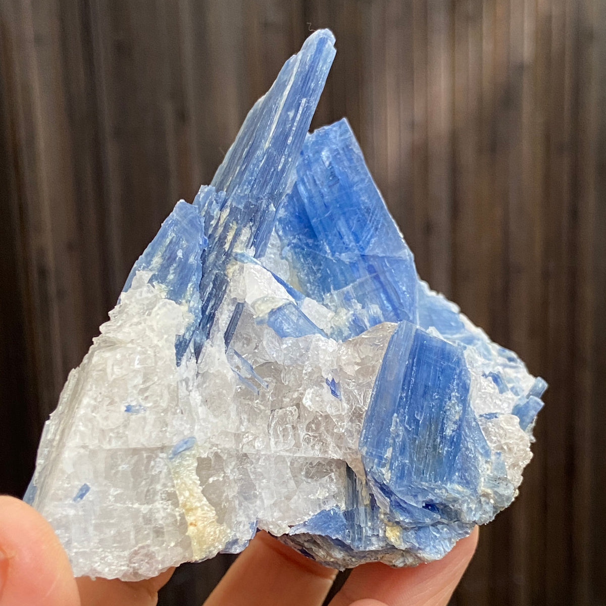 Blue Kyanite, Clear Quartz and Black Tourmaline Cluster