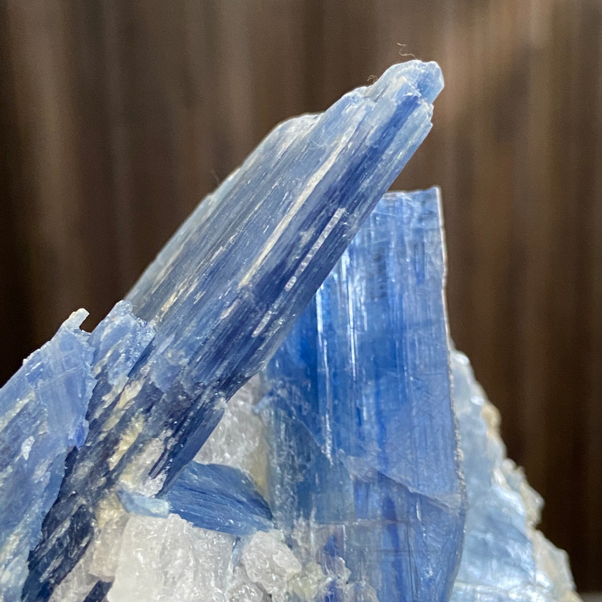 Blue Kyanite, Clear Quartz and Black Tourmaline Cluster
