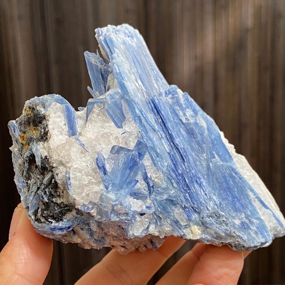 Blue Kyanite, Clear Quartz and Black Tourmaline Cluster