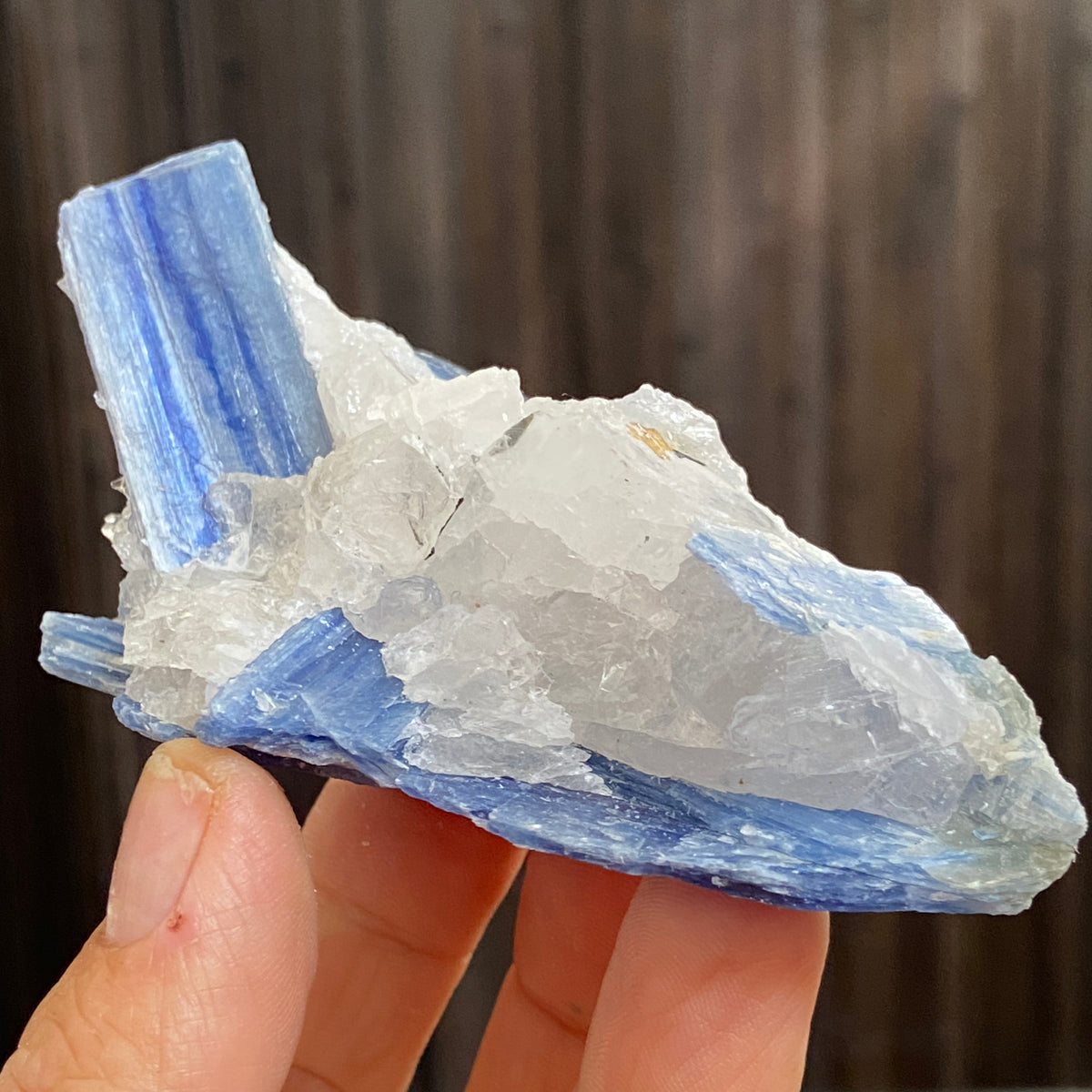 Blue Kyanite and Clear Quartz Cluster