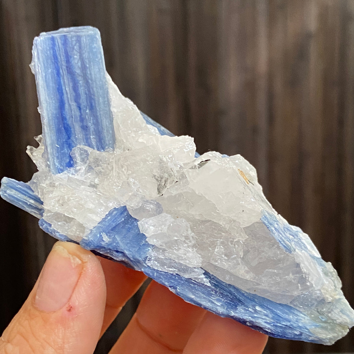 Blue Kyanite and Clear Quartz Cluster