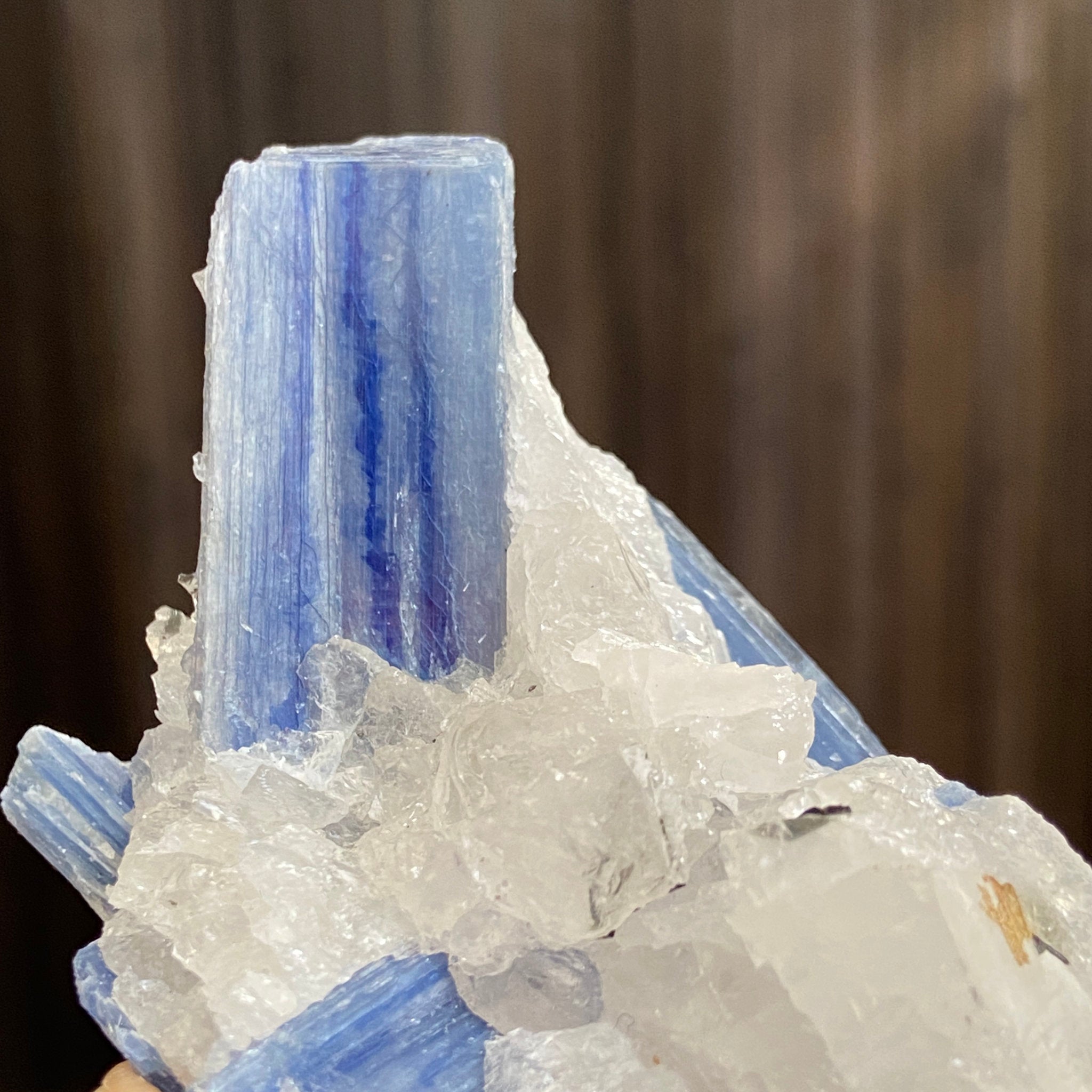 Blue Kyanite and Clear Quartz Cluster