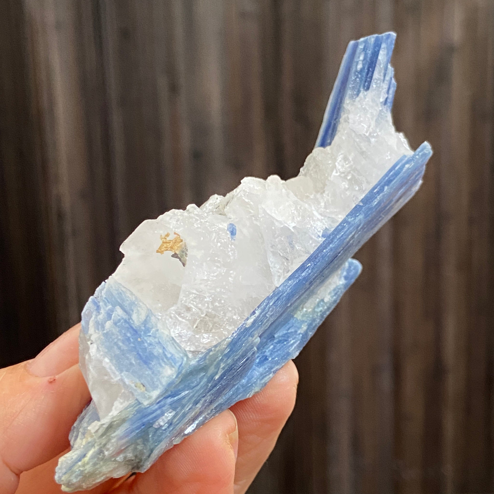 Blue Kyanite and Clear Quartz Cluster