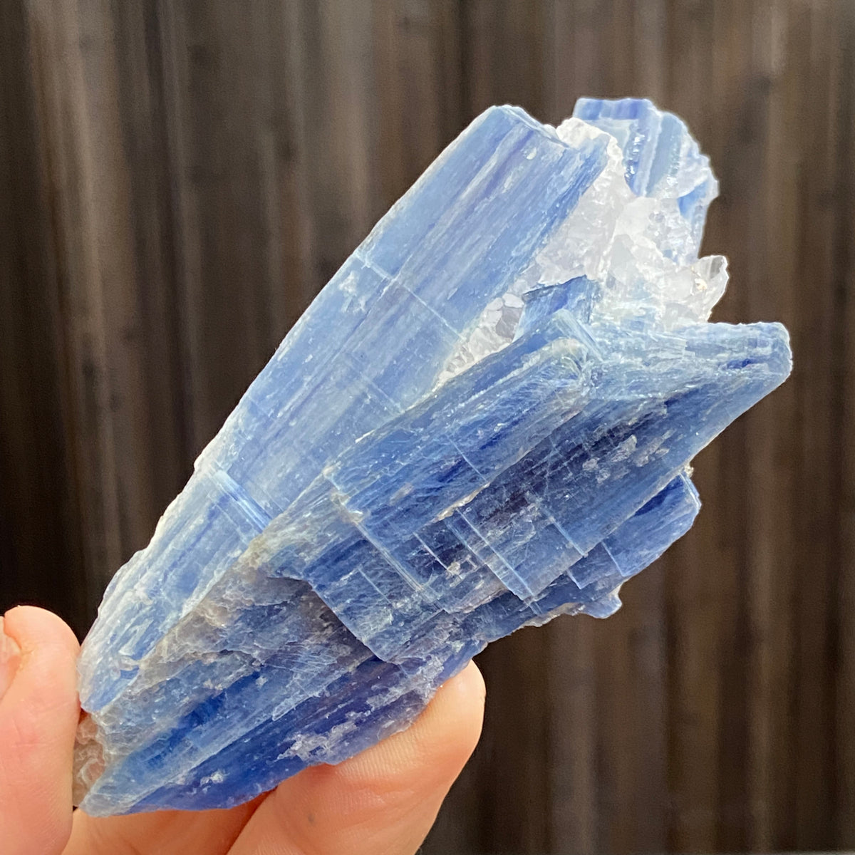 Blue Kyanite and Clear Quartz Cluster