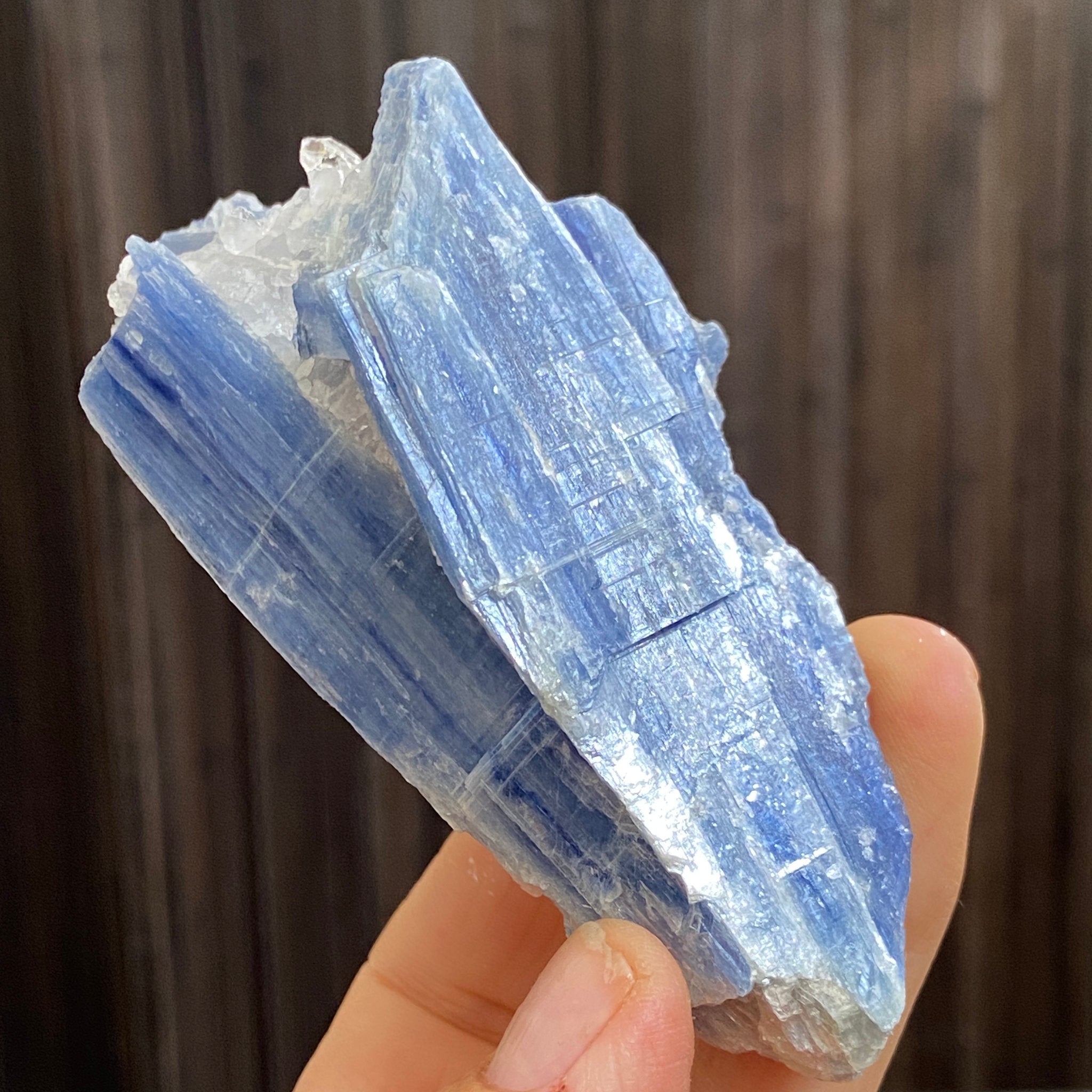 Blue Kyanite and Clear Quartz Cluster