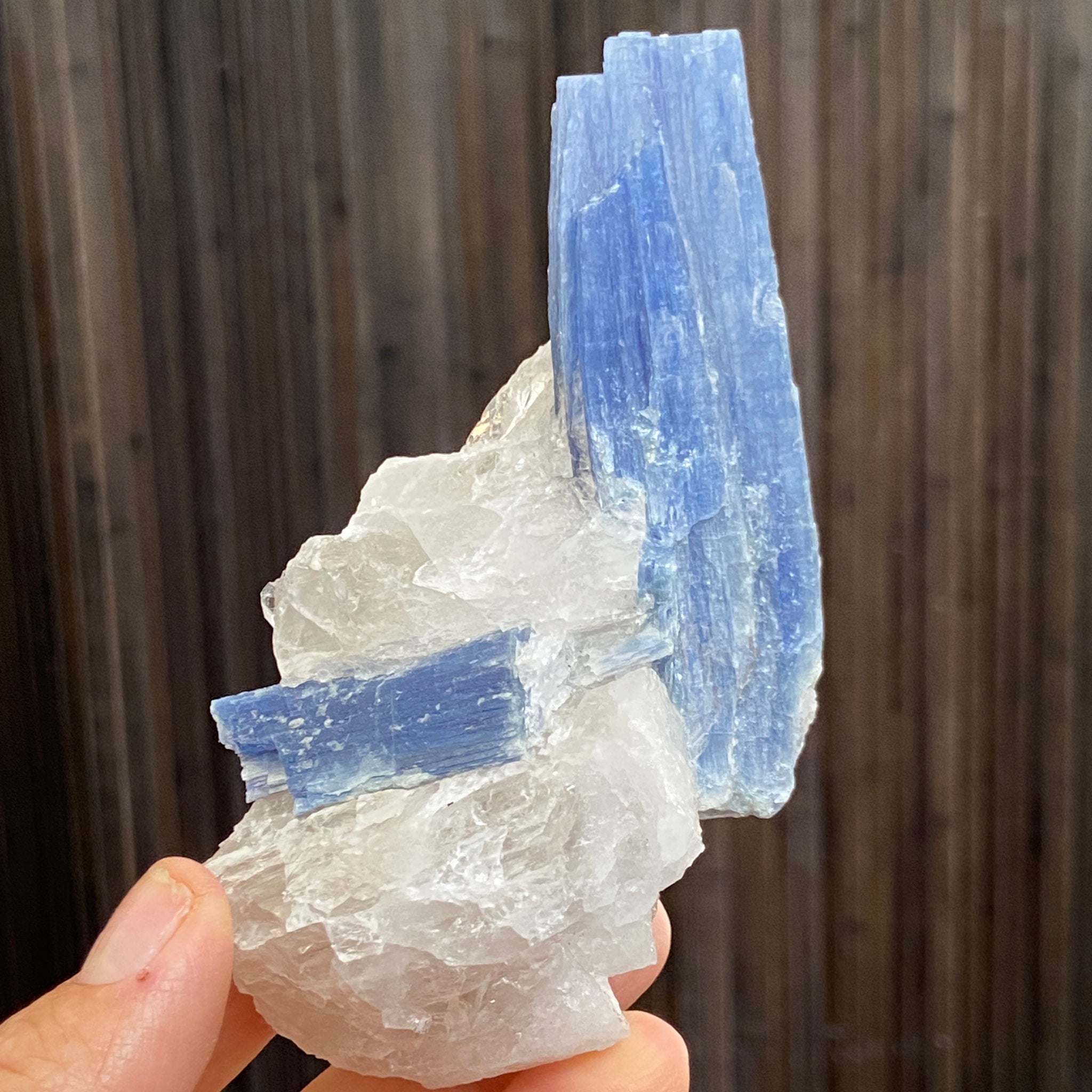 Blue Kyanite and Clear Quartz Cluster
