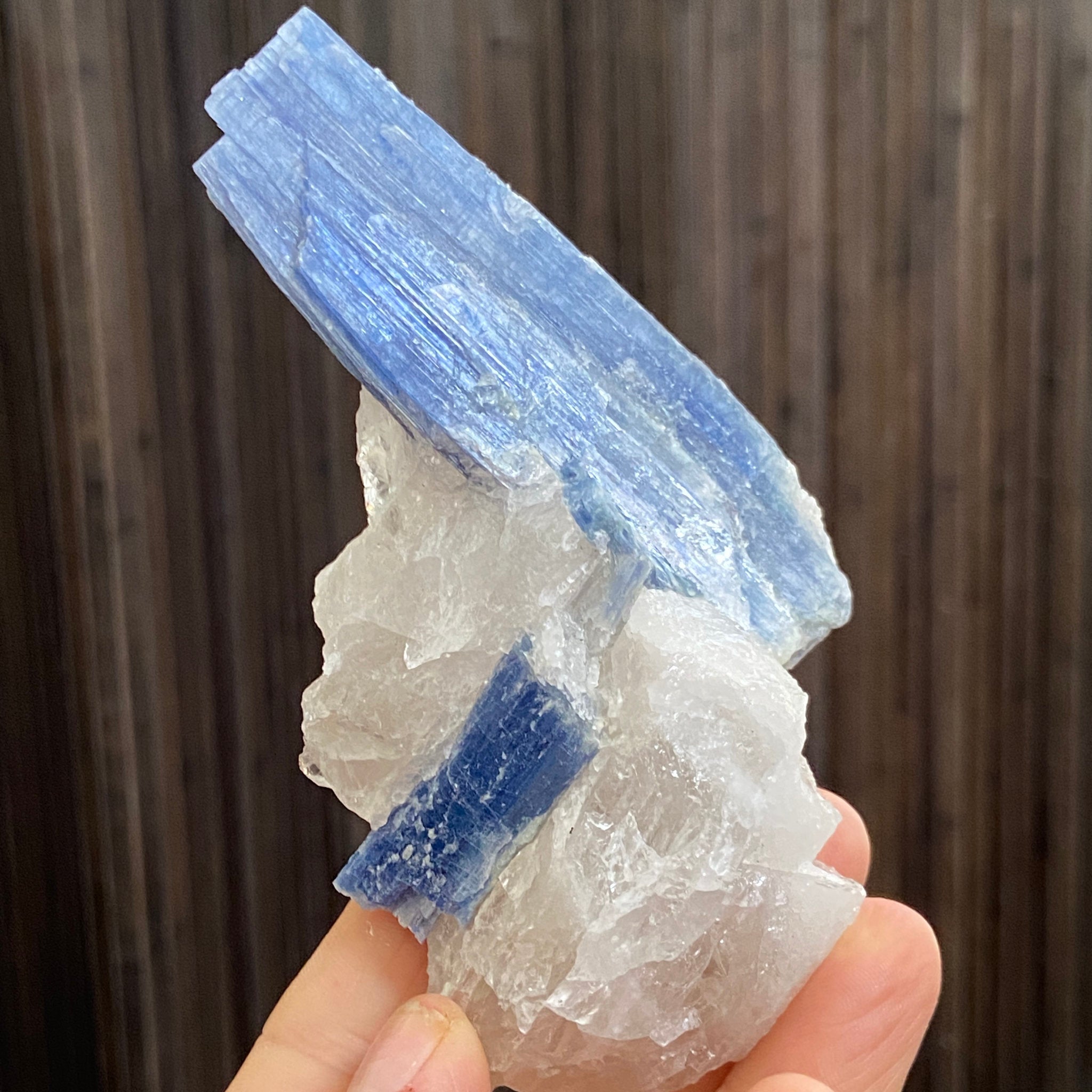 Blue Kyanite and Clear Quartz Cluster