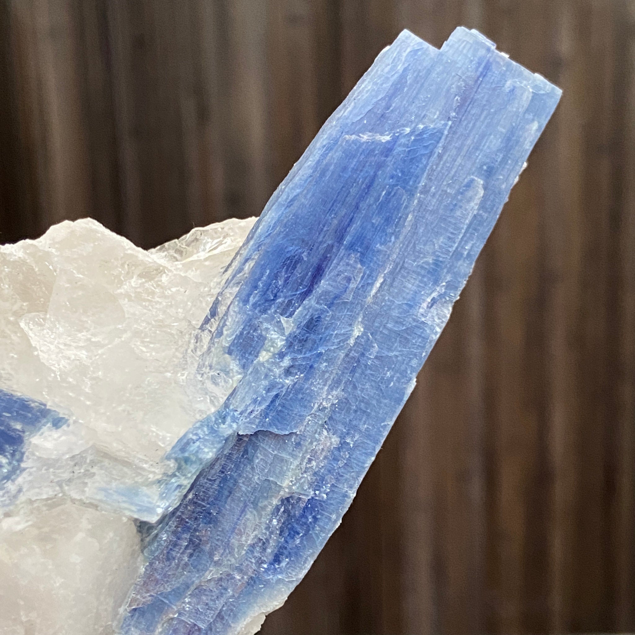 Blue Kyanite and Clear Quartz Cluster