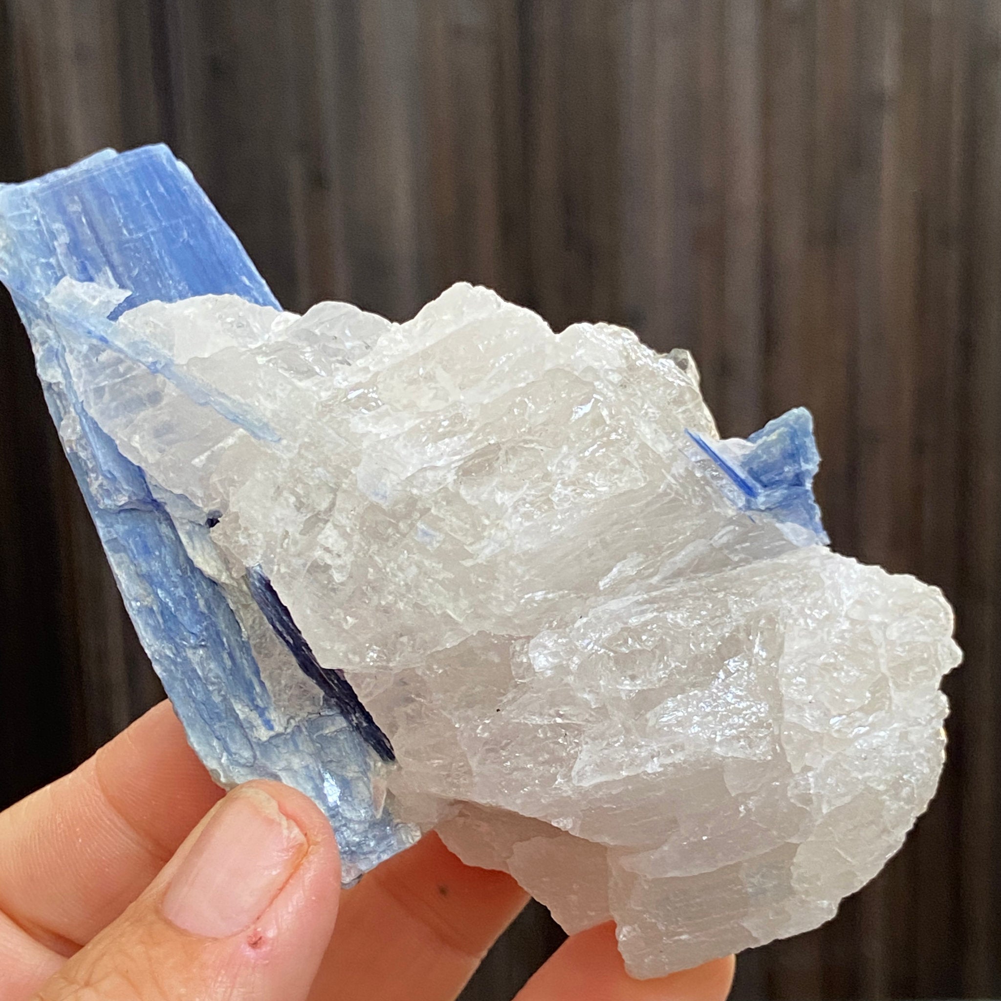 Blue Kyanite and Clear Quartz Cluster