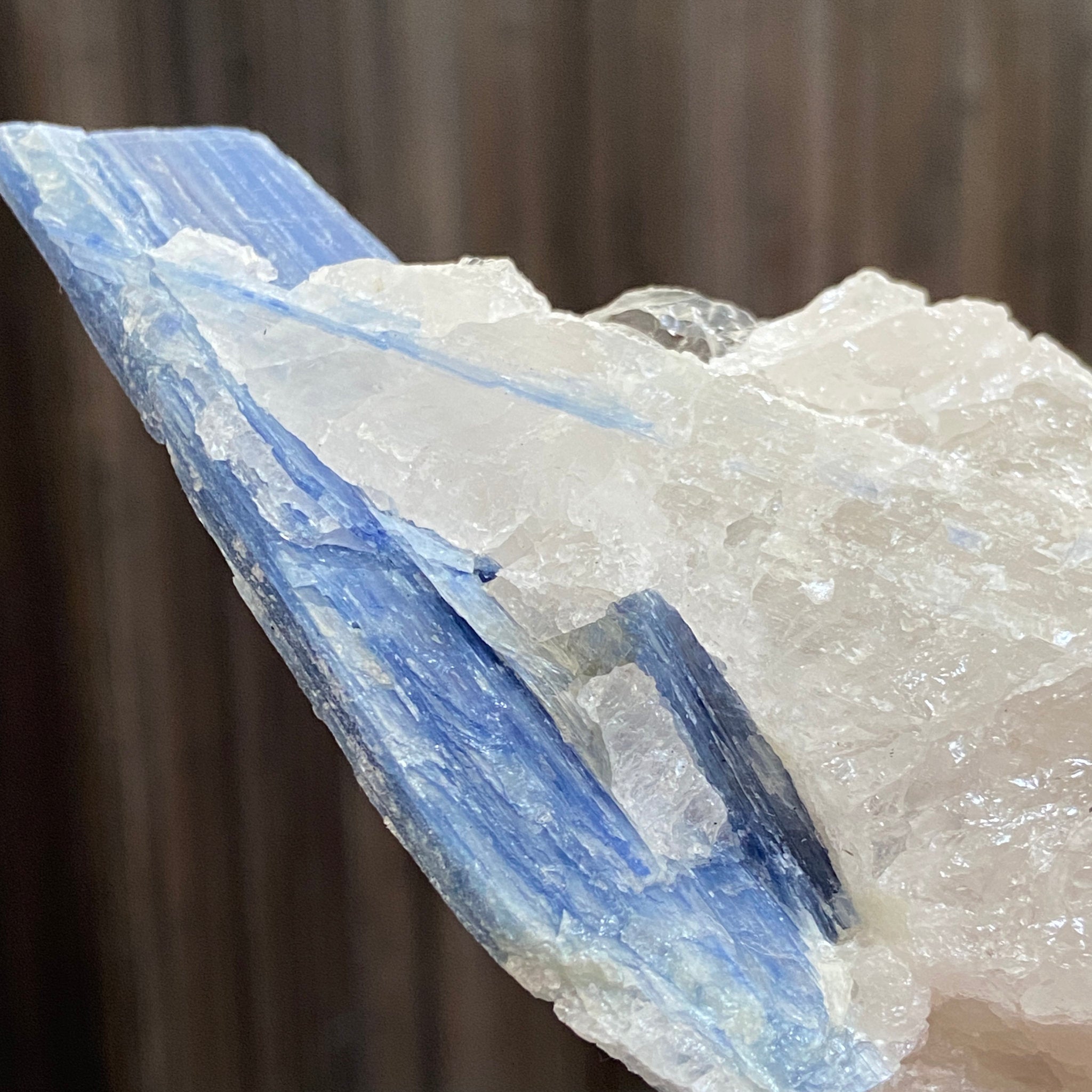 Blue Kyanite and Clear Quartz Cluster