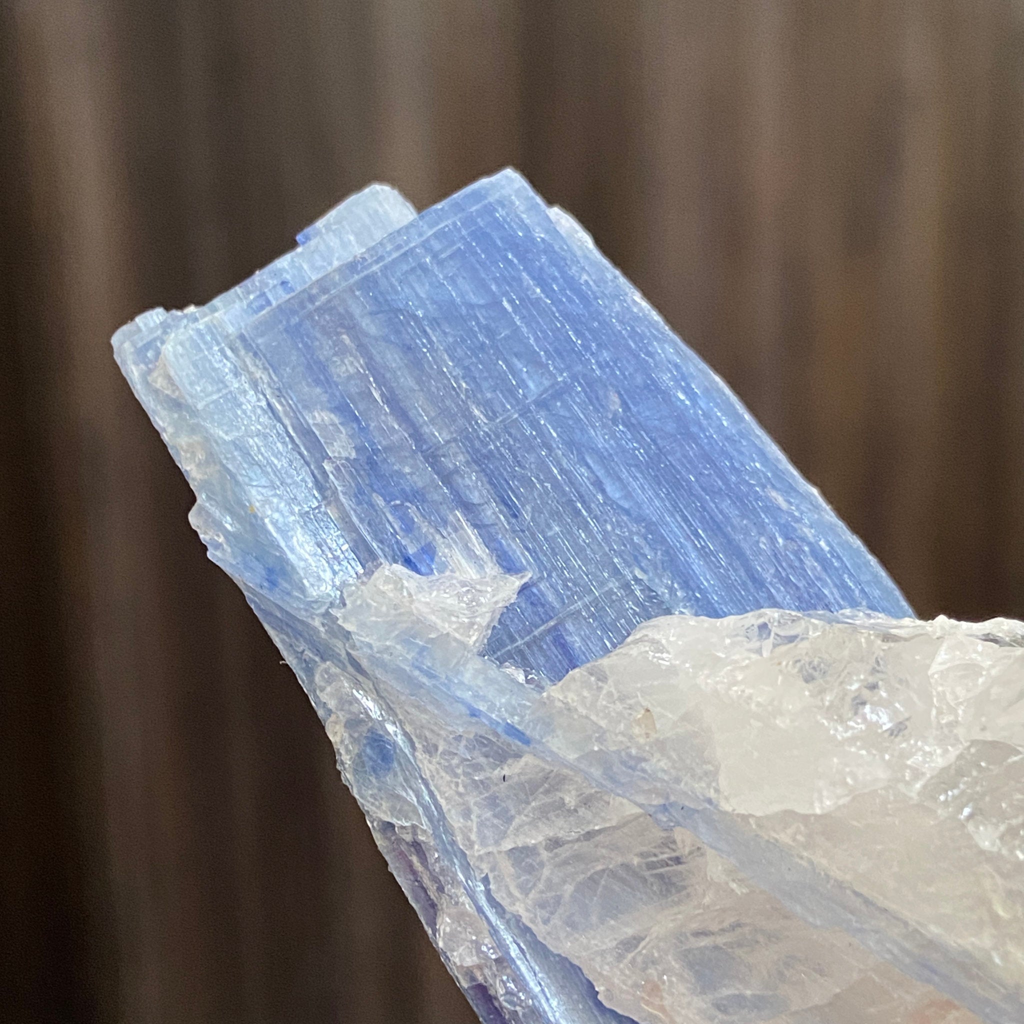 Blue Kyanite and Clear Quartz Cluster