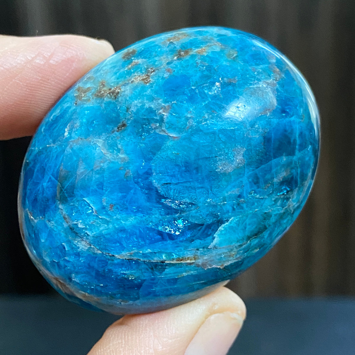 Deep Dark Blue Apatite Palmstone